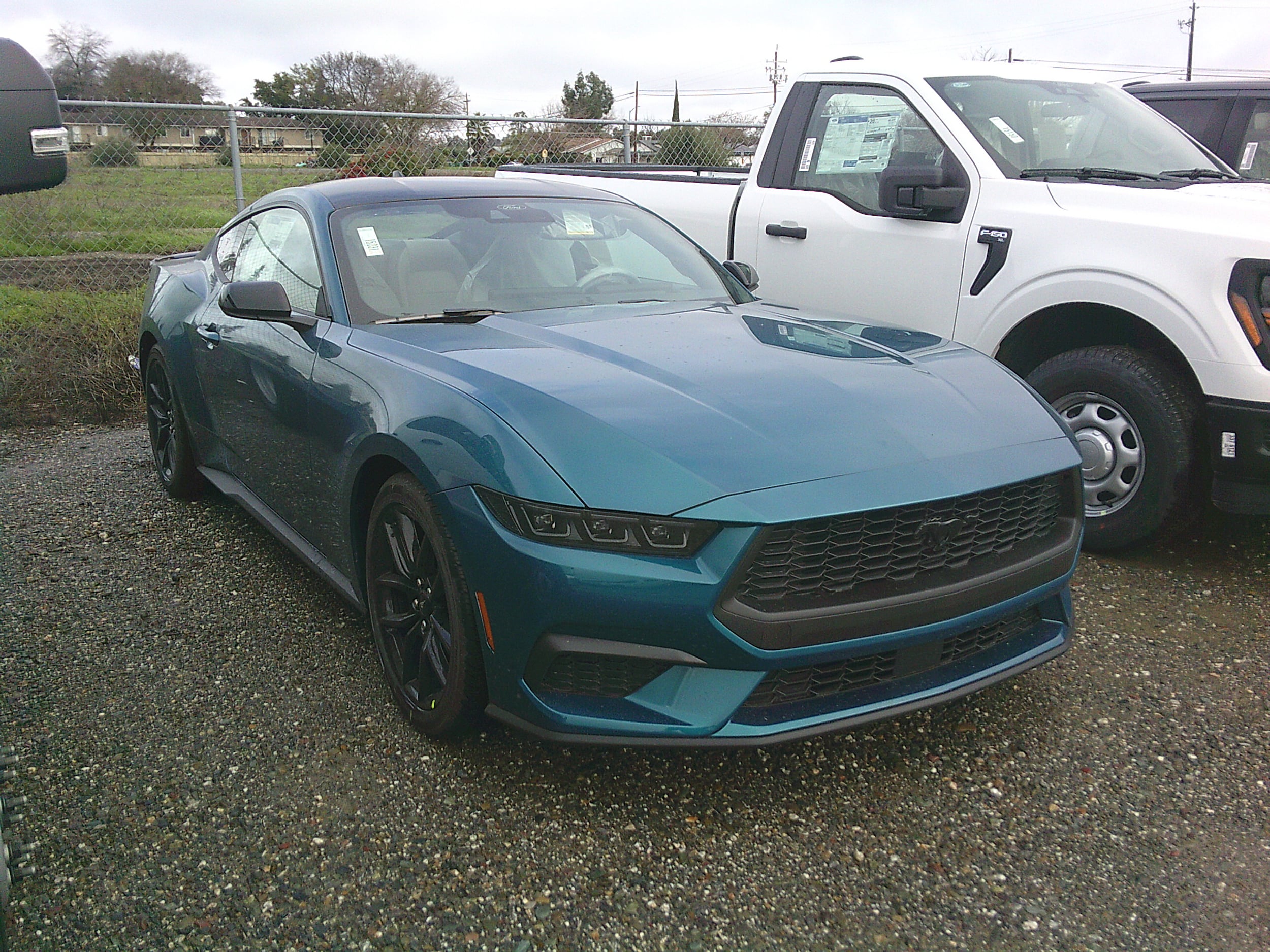 2026 Ford Mustang EcoBoost's photo