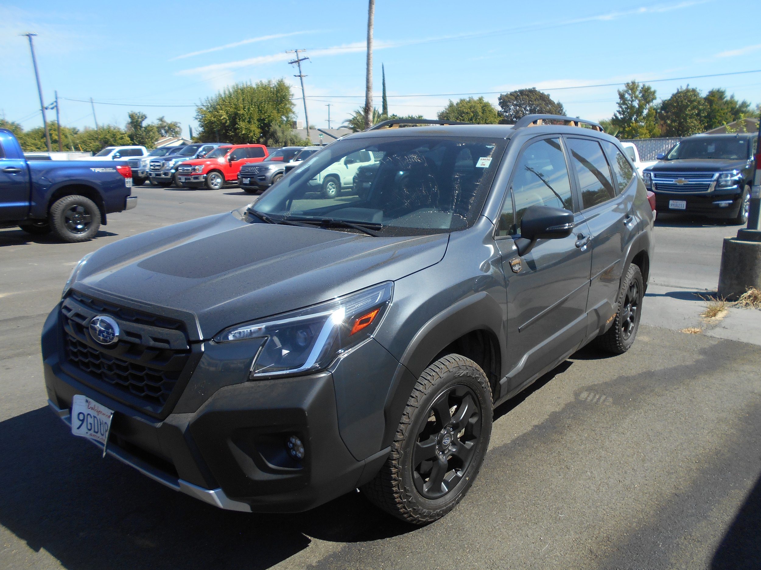 2023 Subaru Forester