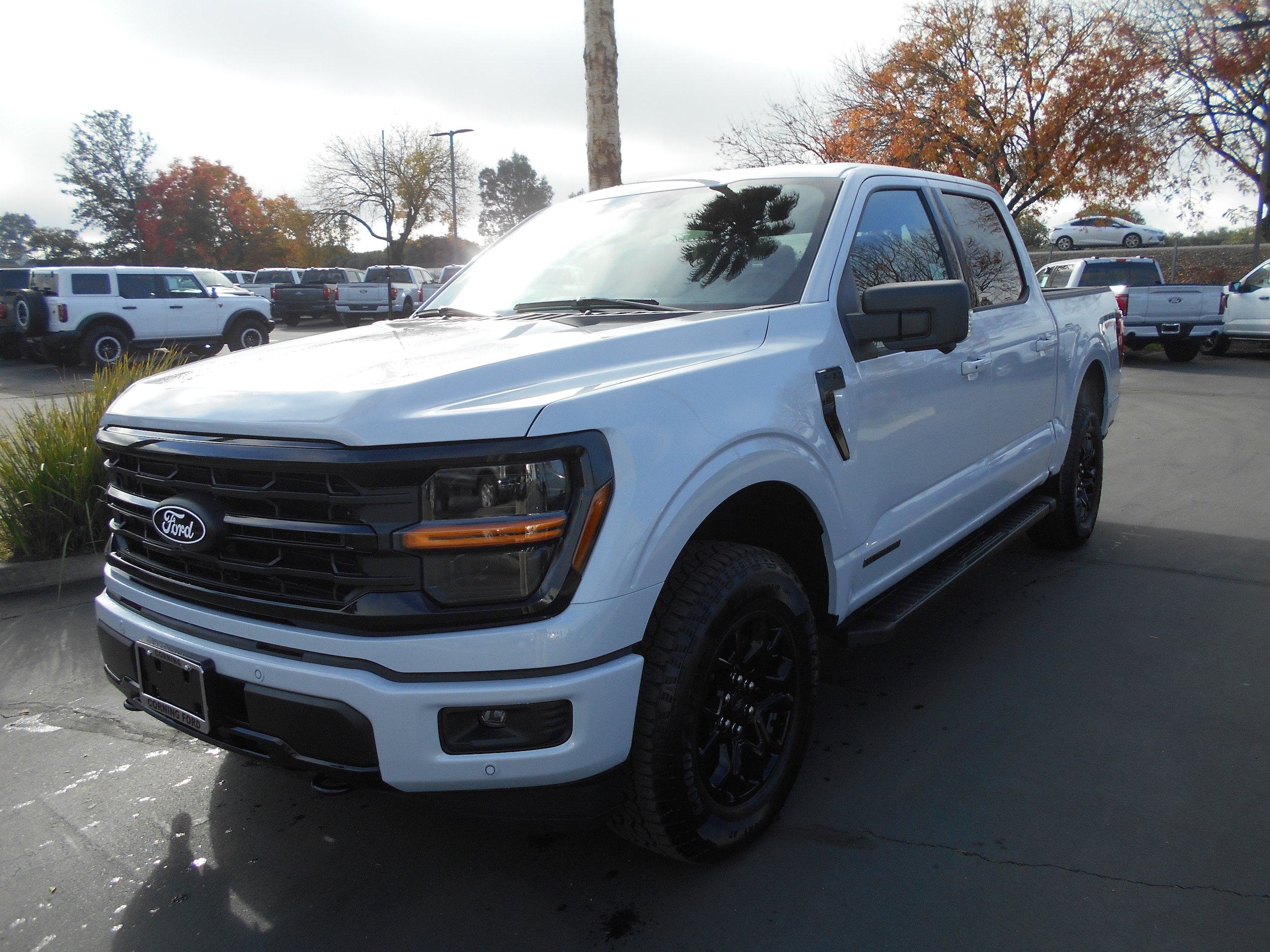 2025 Ford F-150 XLT's photo