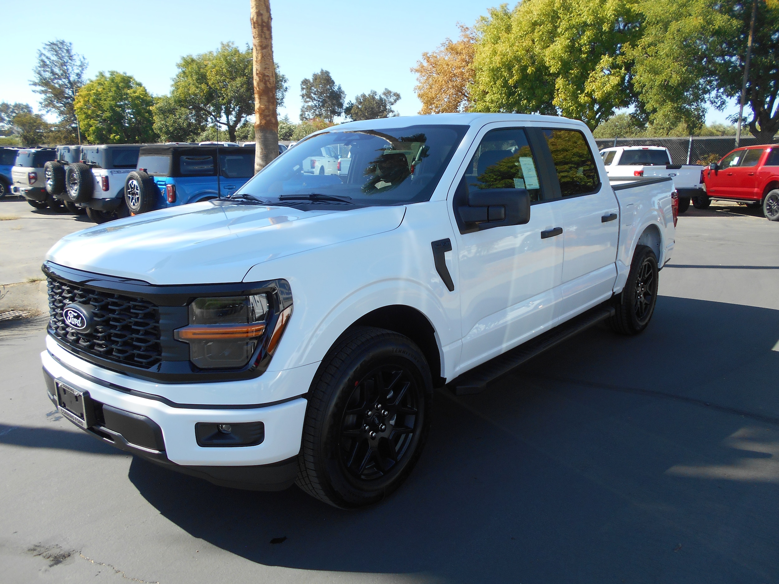 2025 Ford F-150 STX's photo