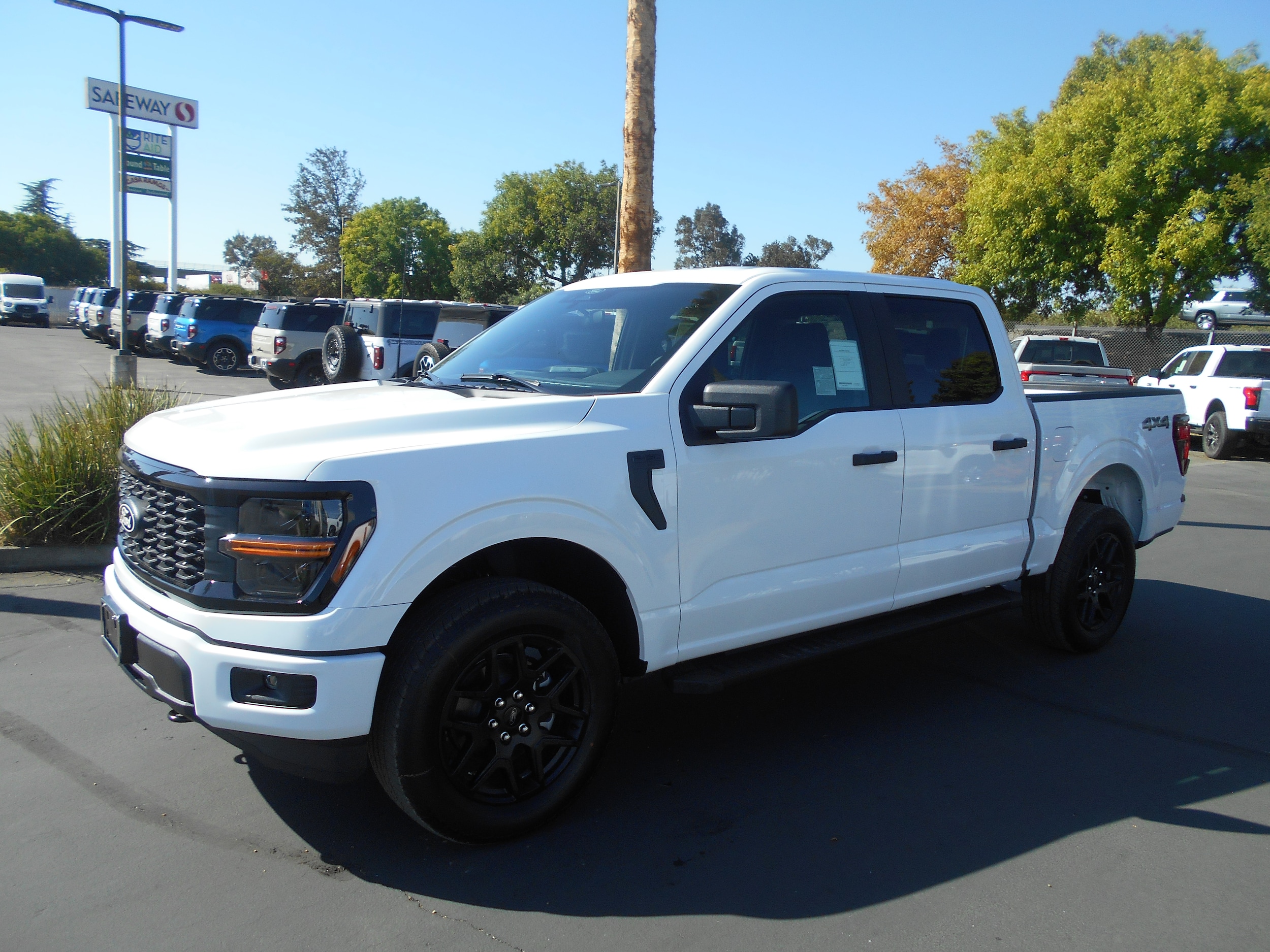 2025 Ford F-150 STX's photo