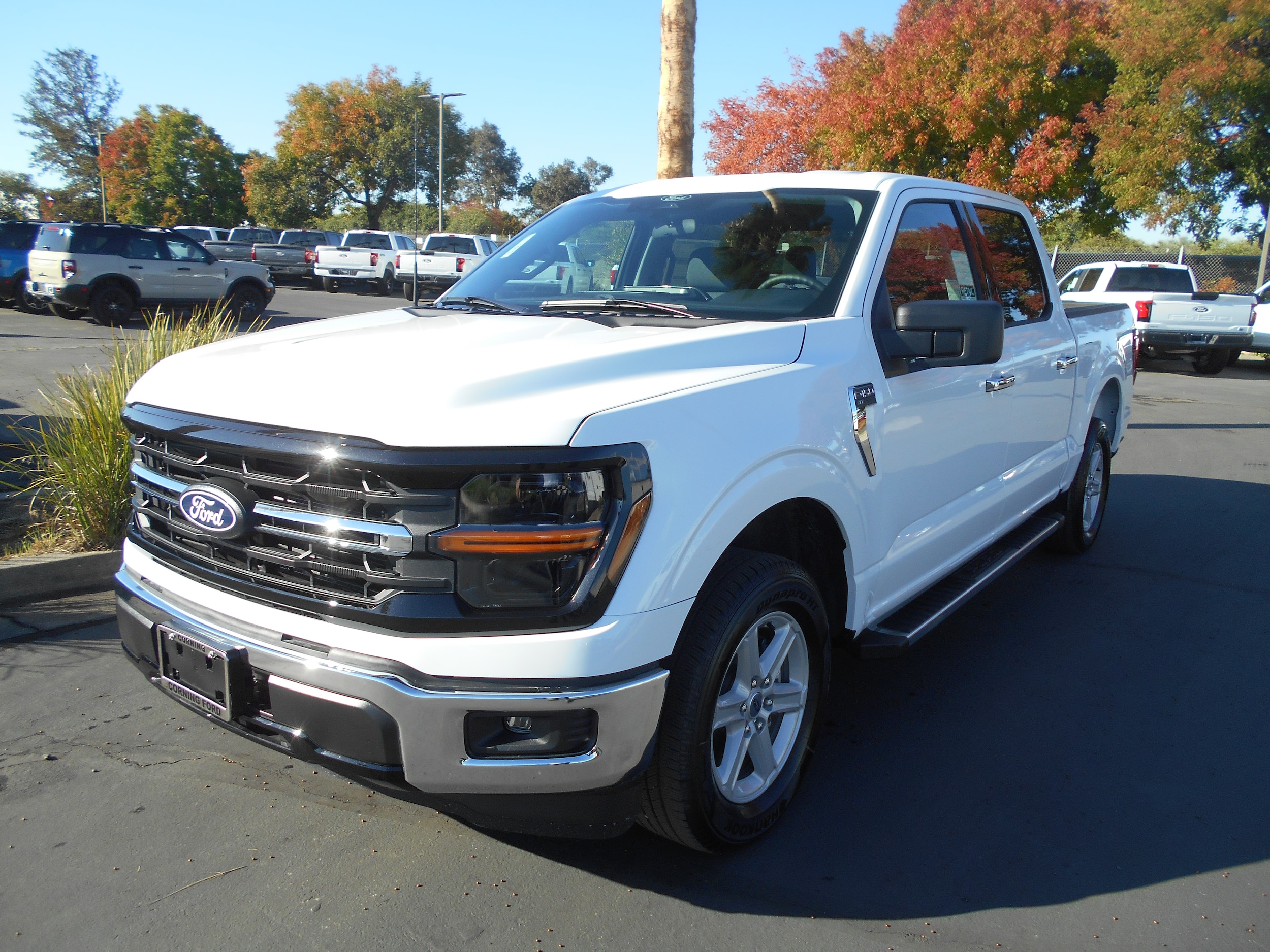 2025 Ford F-150 XLT's photo