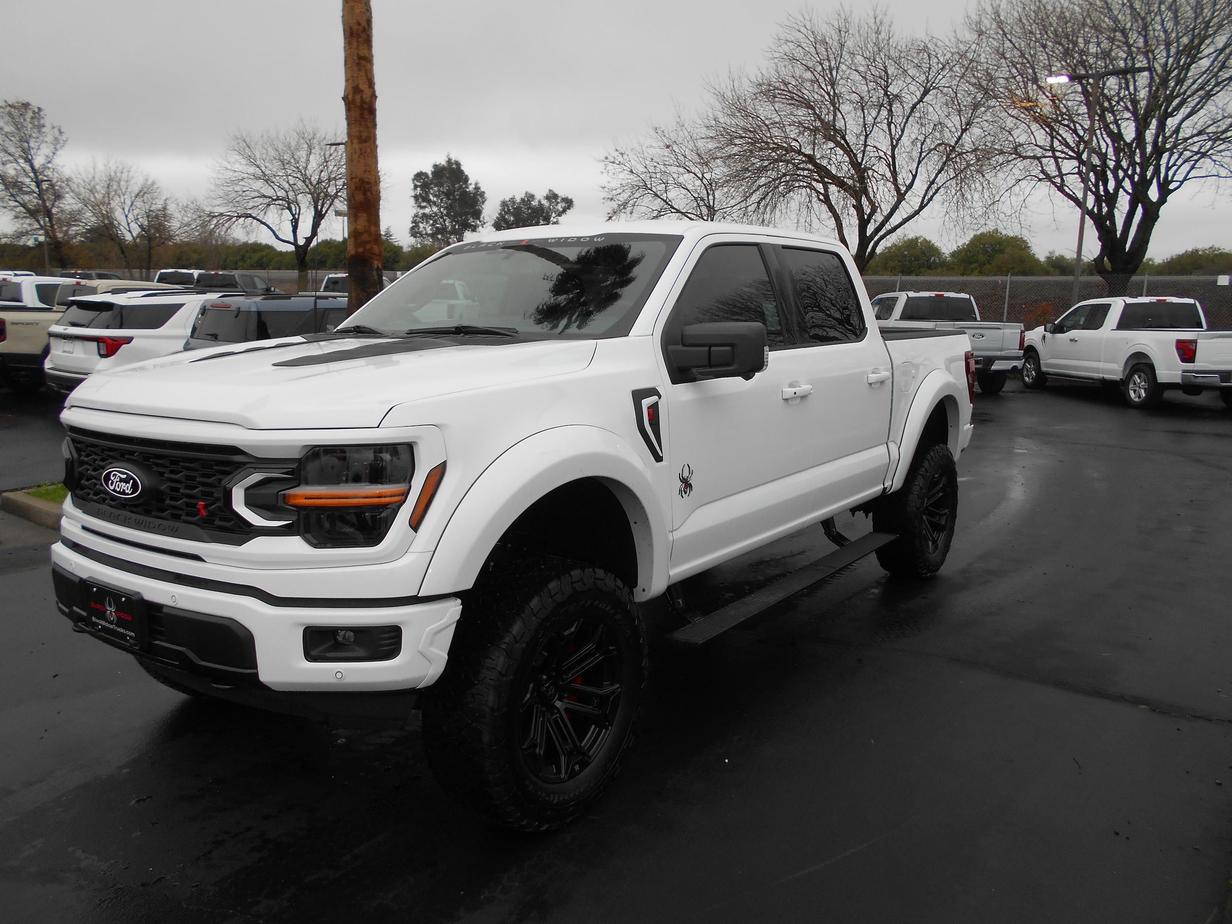 2025 Ford F-150 XLT's photo