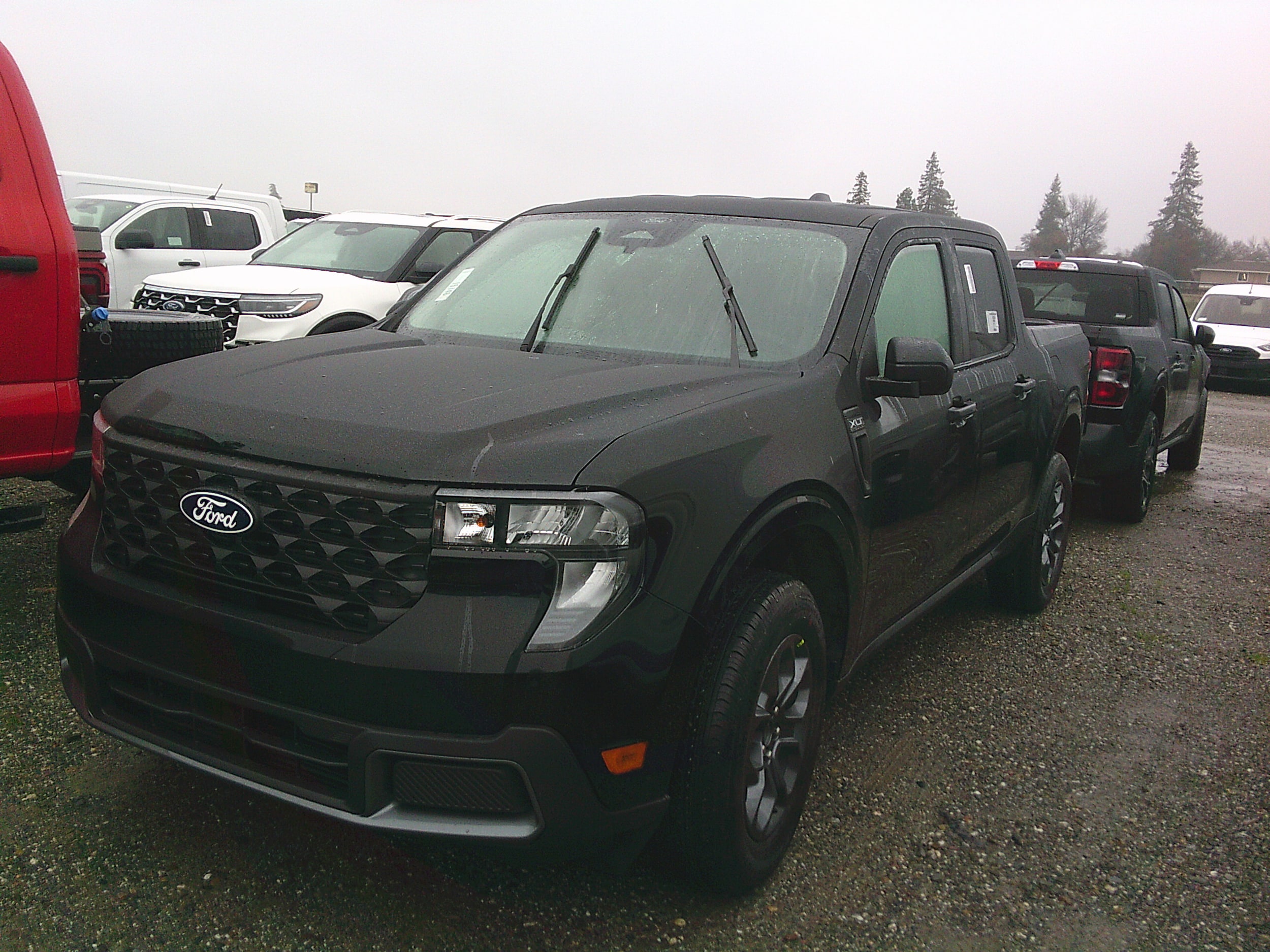 2026 Ford Maverick XLT's photo