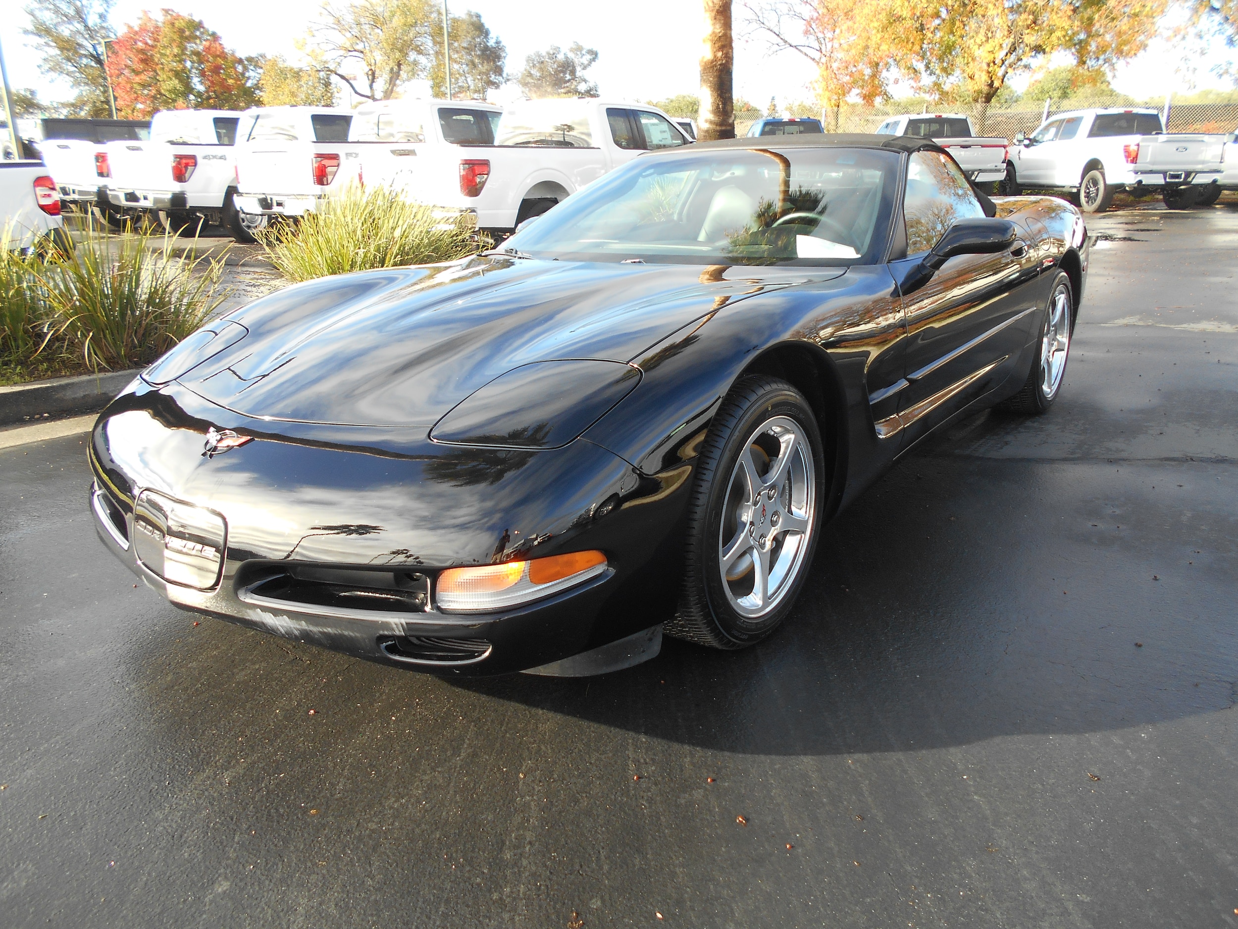 2004 Chevrolet Corvette Base's photo