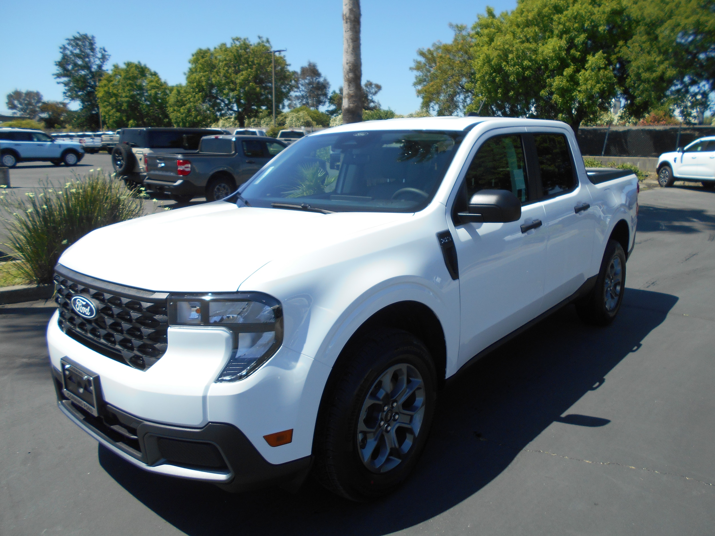 2026 Ford Maverick XLT FWD's photo