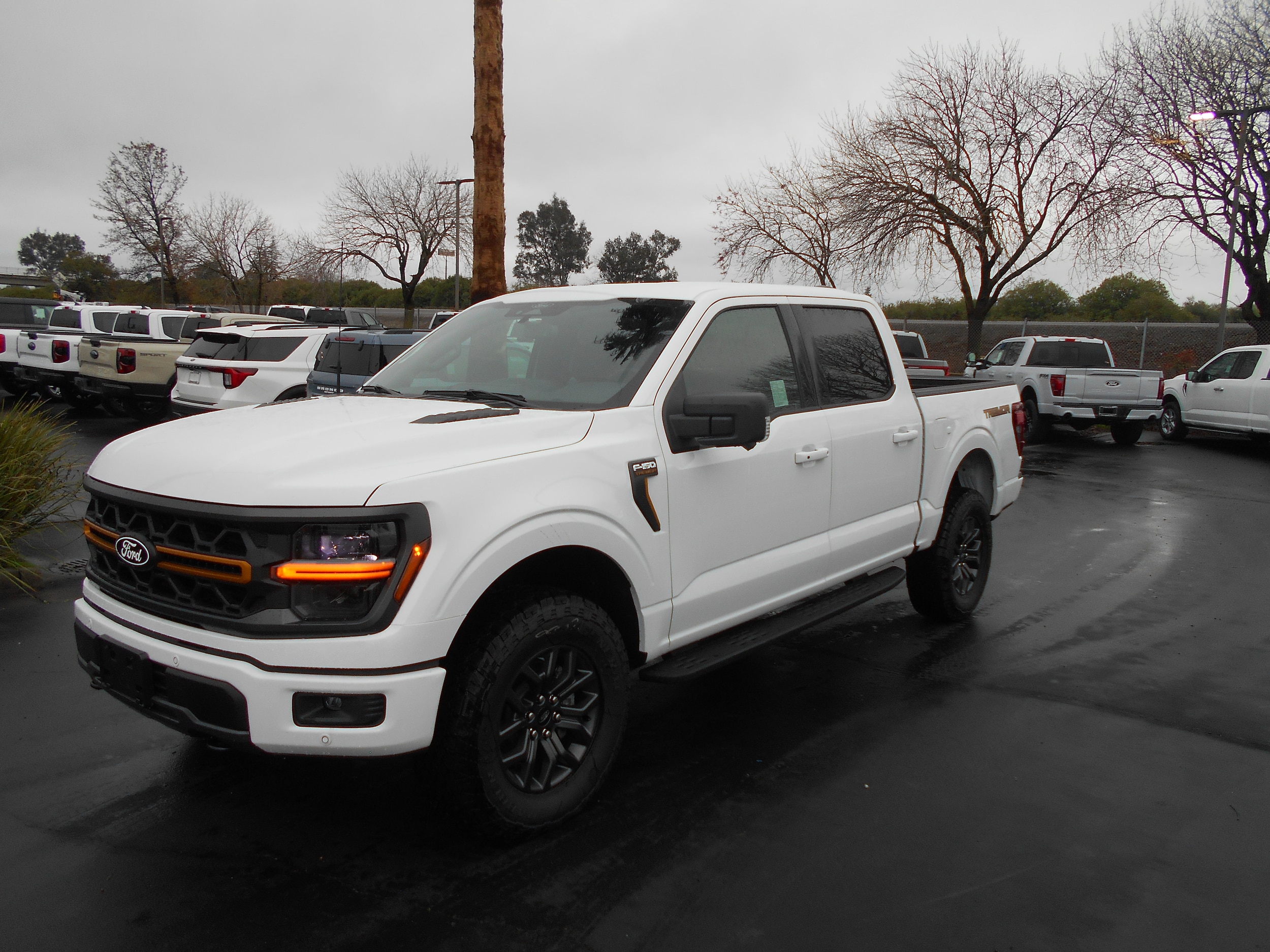 2025 Ford F-150 Tremor's photo