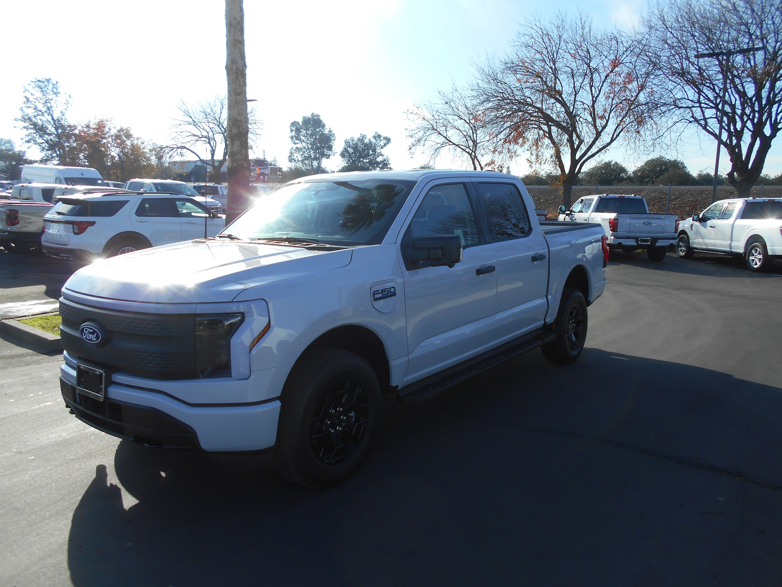 2025 Ford F-150 Lightning XLT's photo