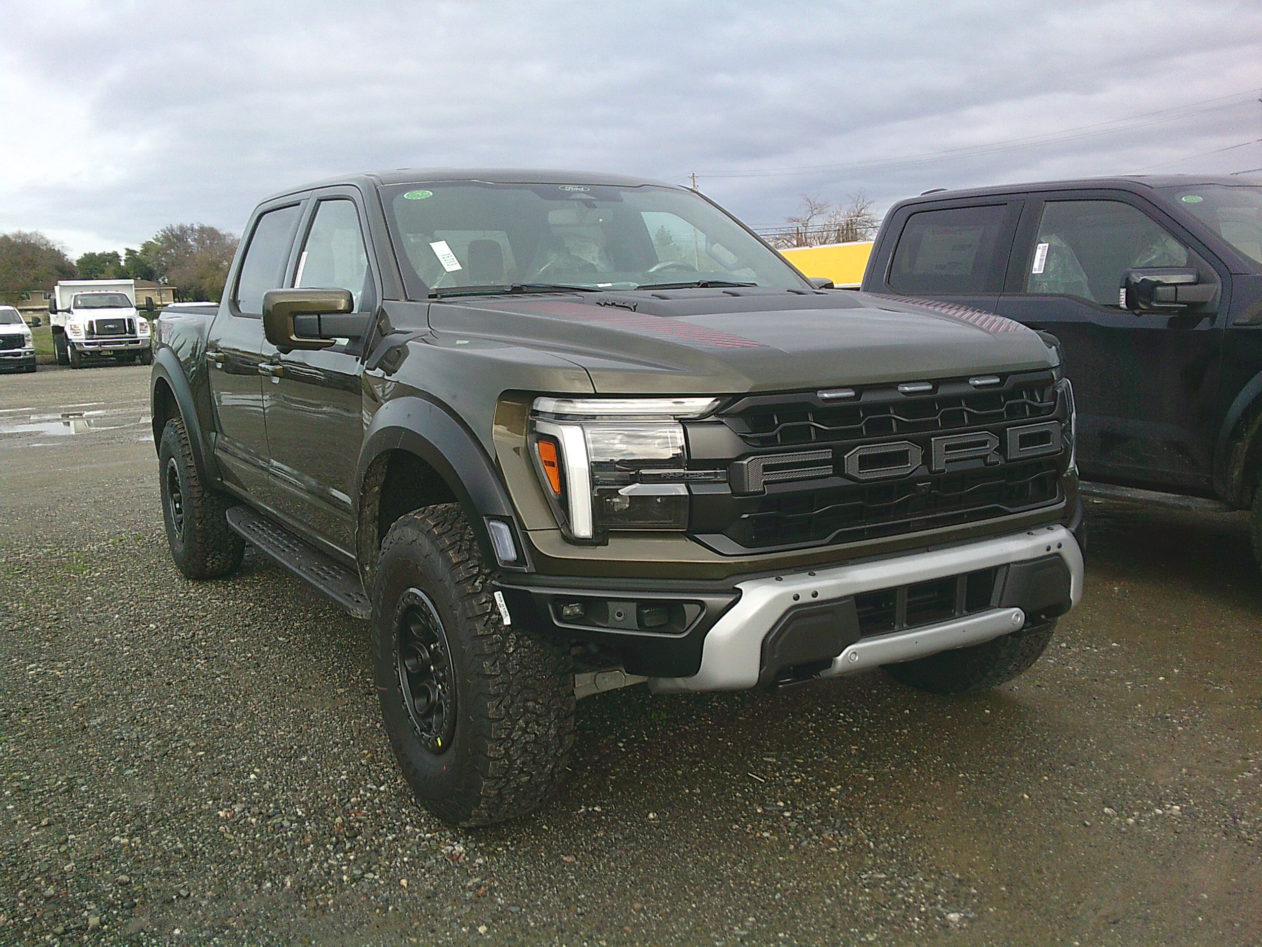 2025 Ford F-150 Raptor's photo
