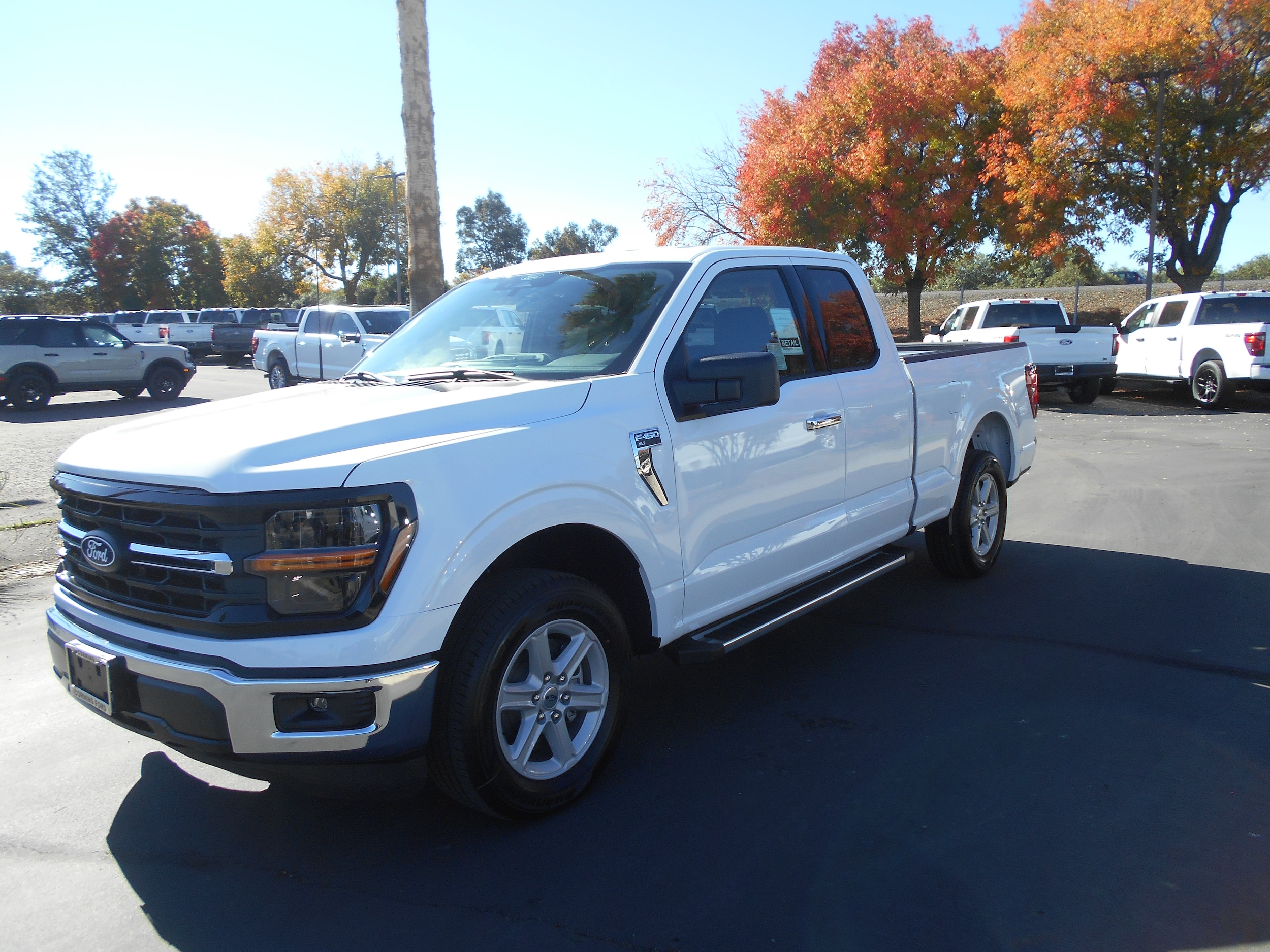 2025 Ford F-150 XLT's photo
