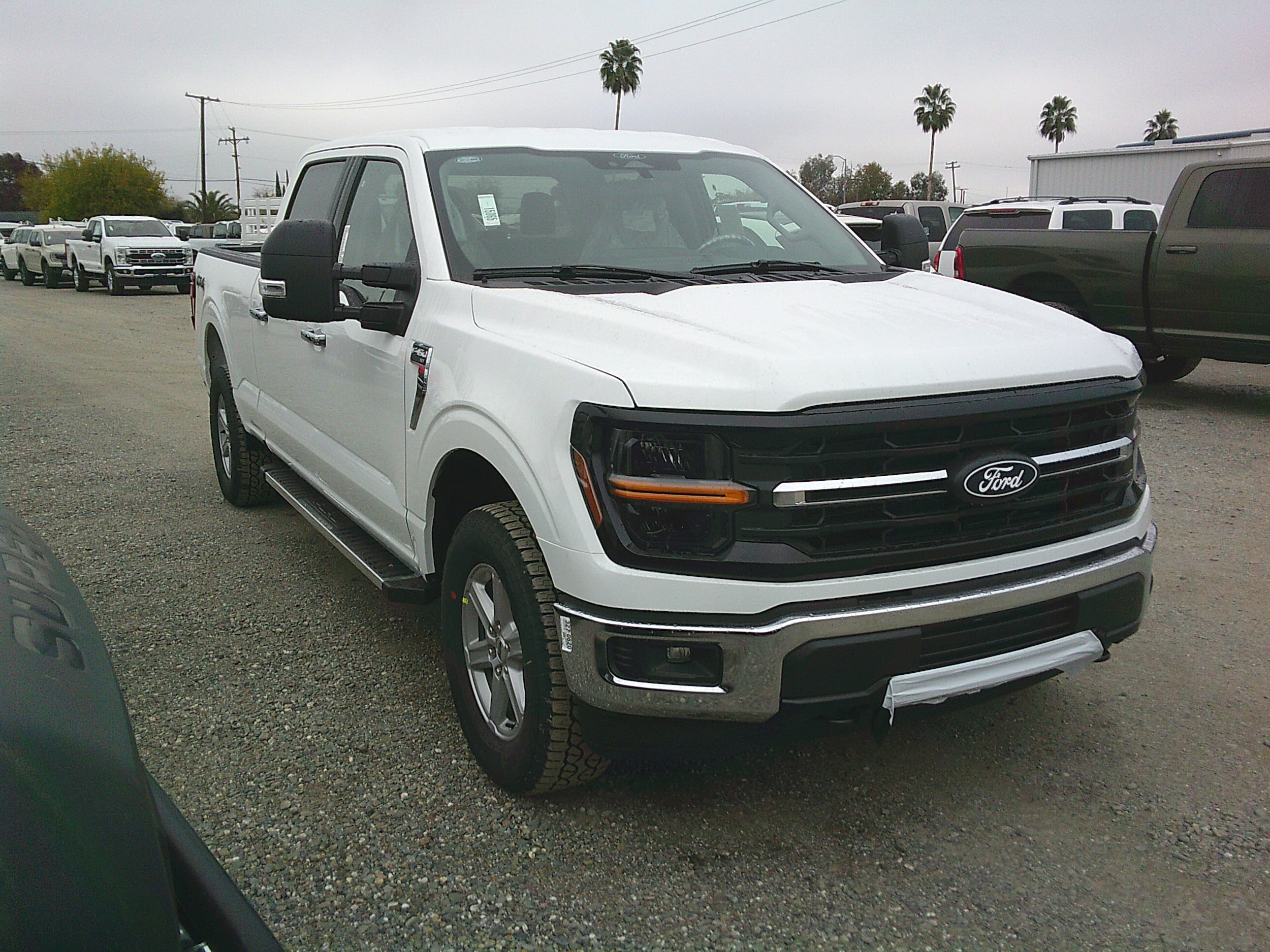 2025 Ford F-150 XLT's photo