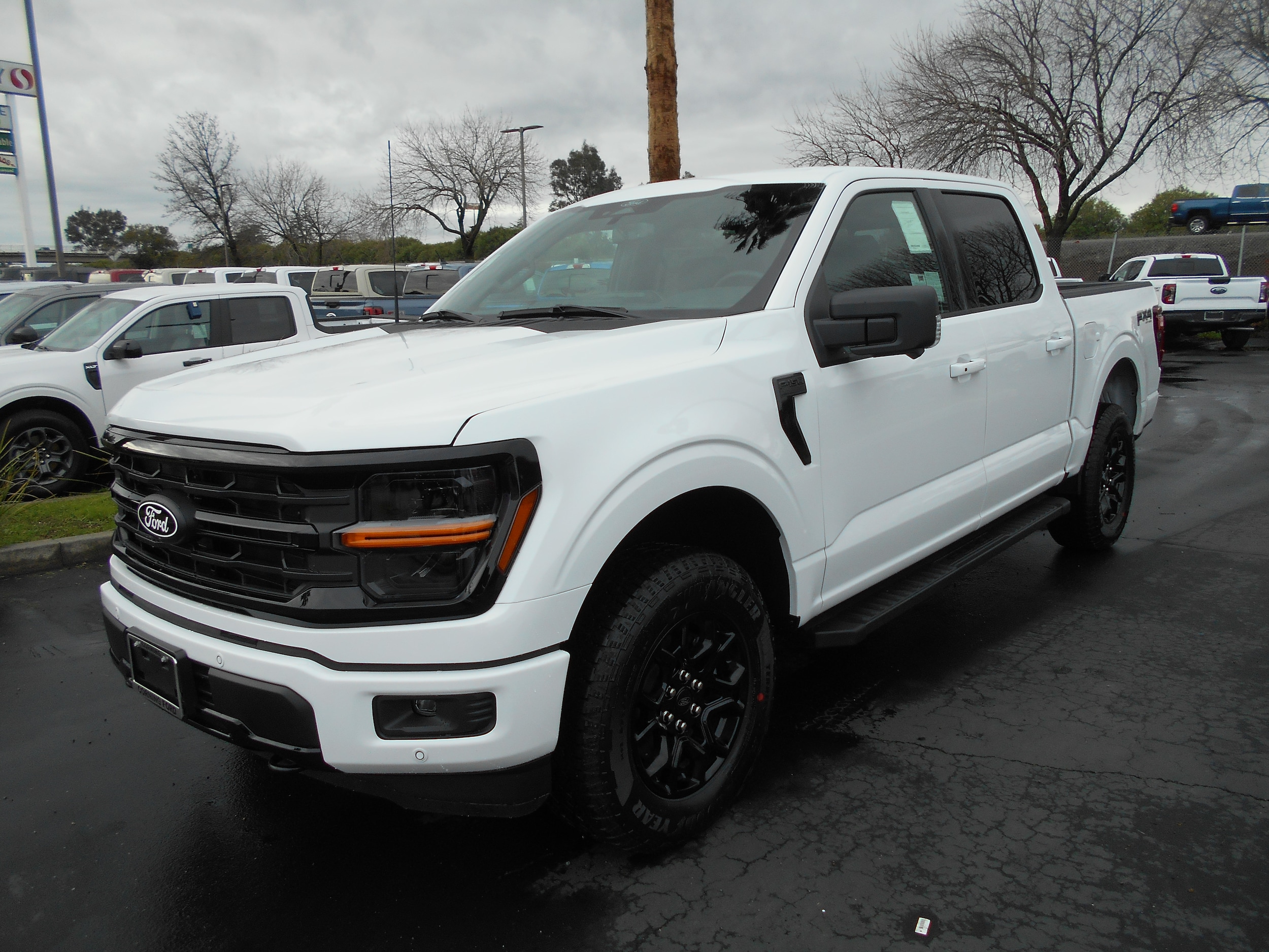 2025 Ford F-150 XLT's photo