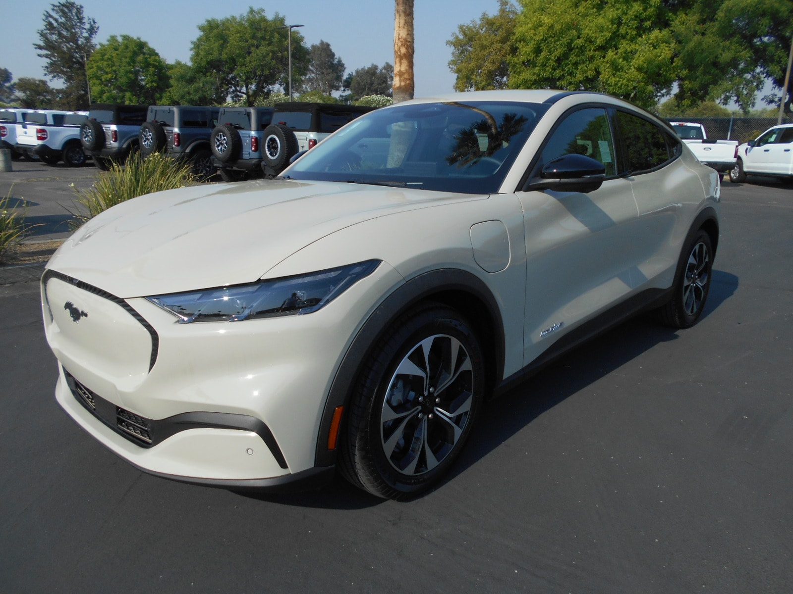 2025 Ford Mustang Mach-E Select RWD's photo