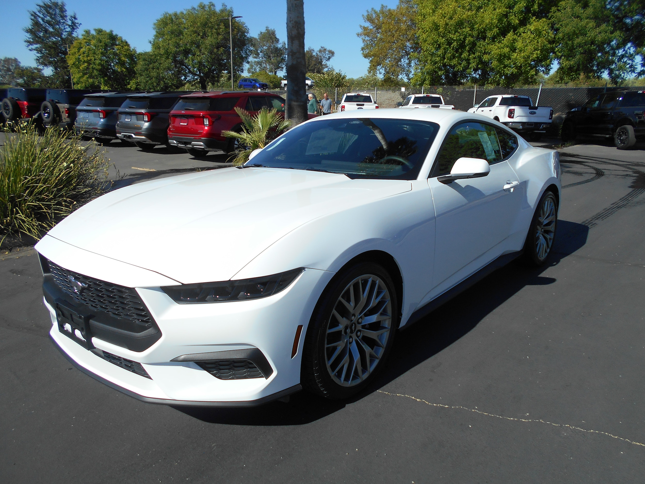 2026 Ford Mustang Coupe 