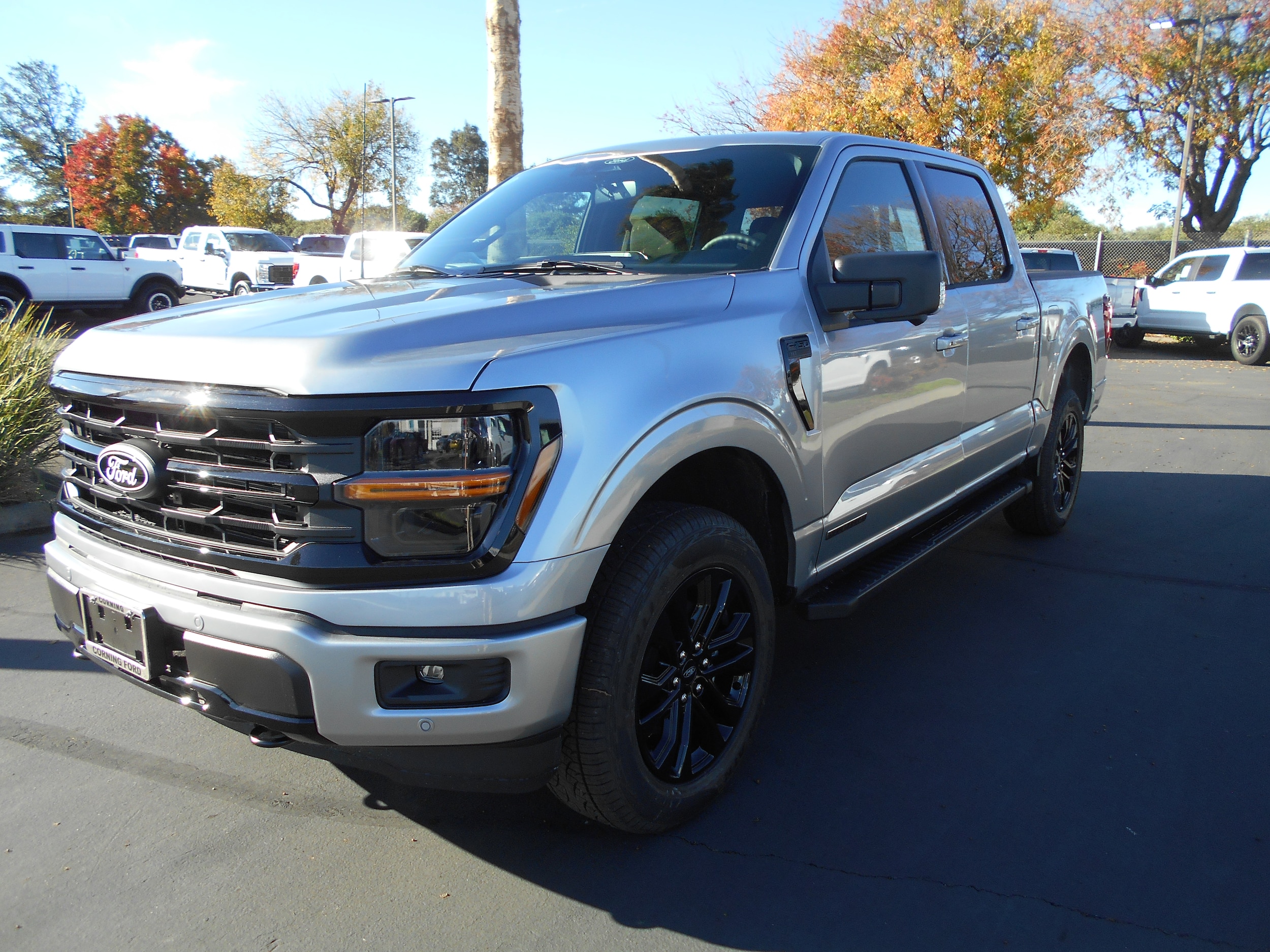 2025 Ford F-150 XLT's photo