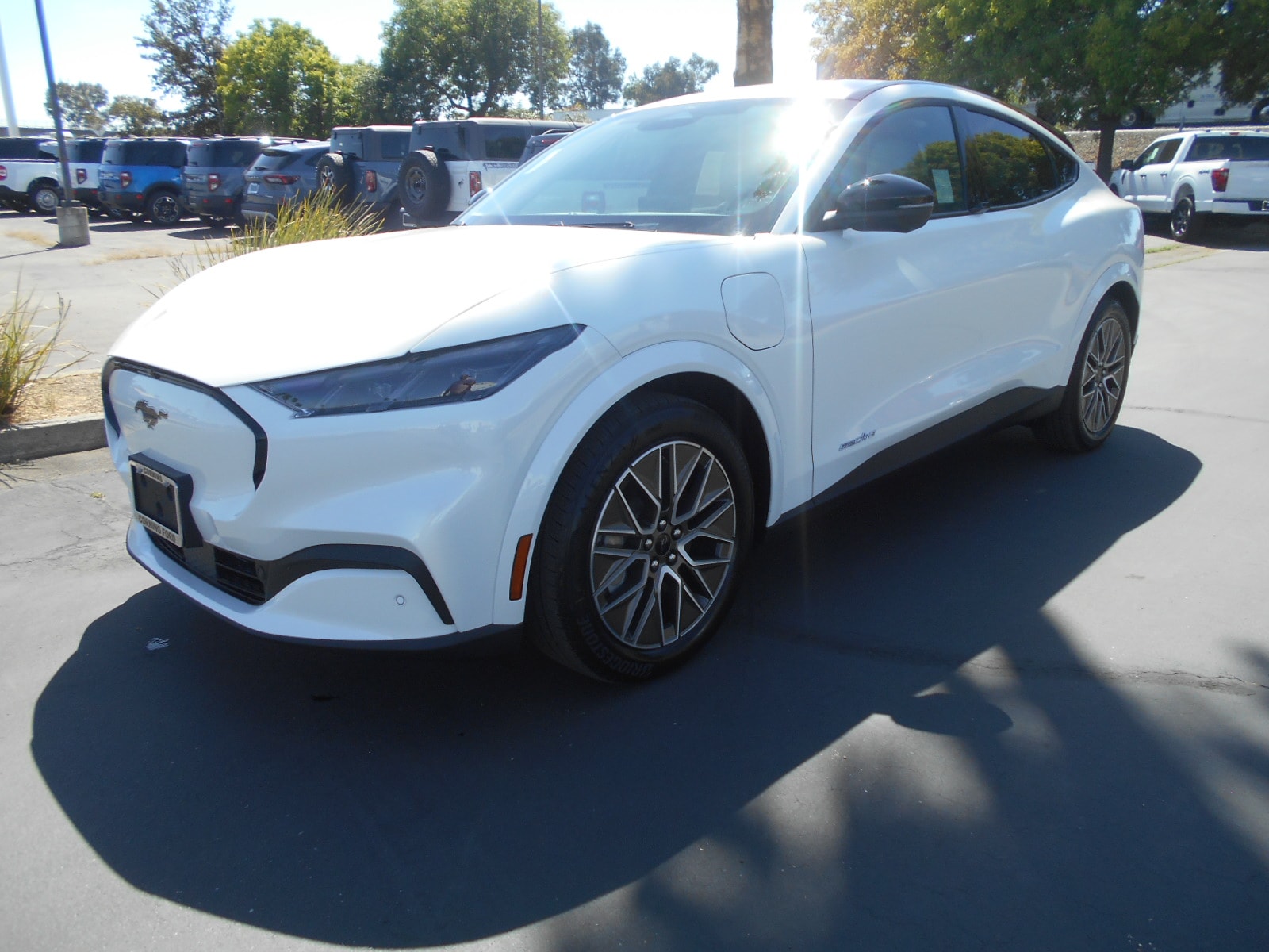 2025 Ford Mustang Mach-E Premium RWD's photo