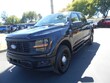  Ford F-150 Police Responder