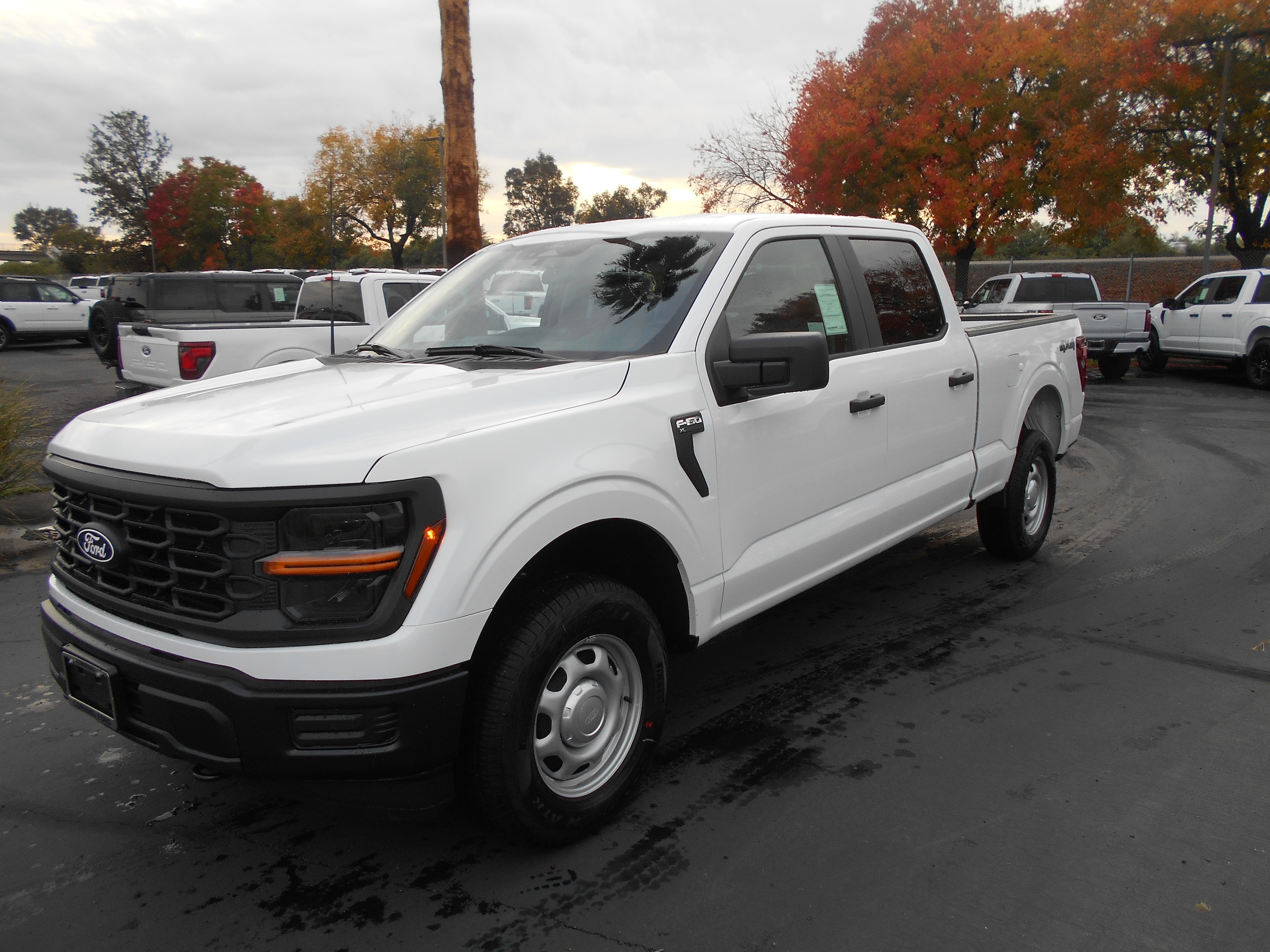 2025 Ford F-150 XL's photo