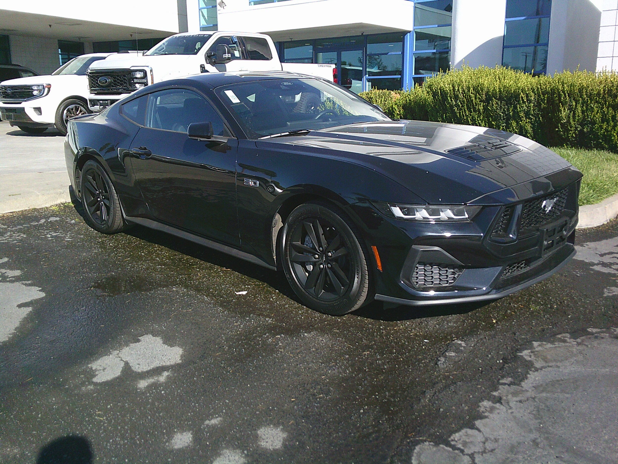 2024 Ford Mustang GT photo 3