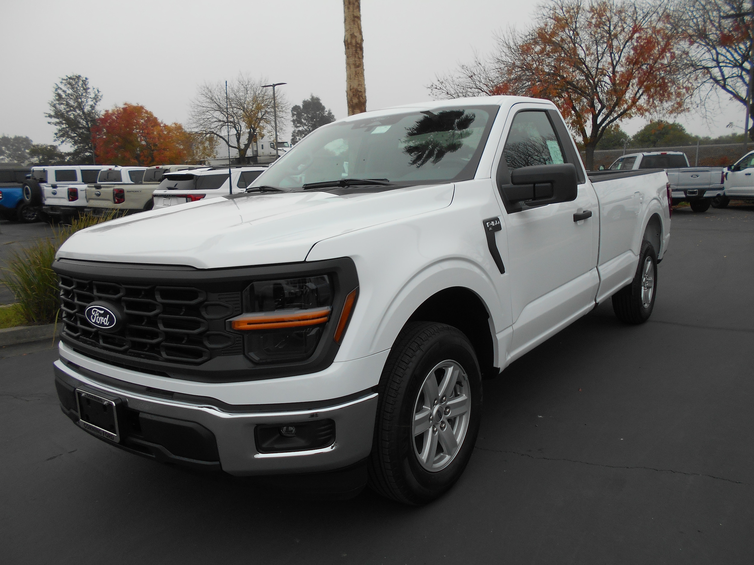 2025 Ford F-150 XL's photo