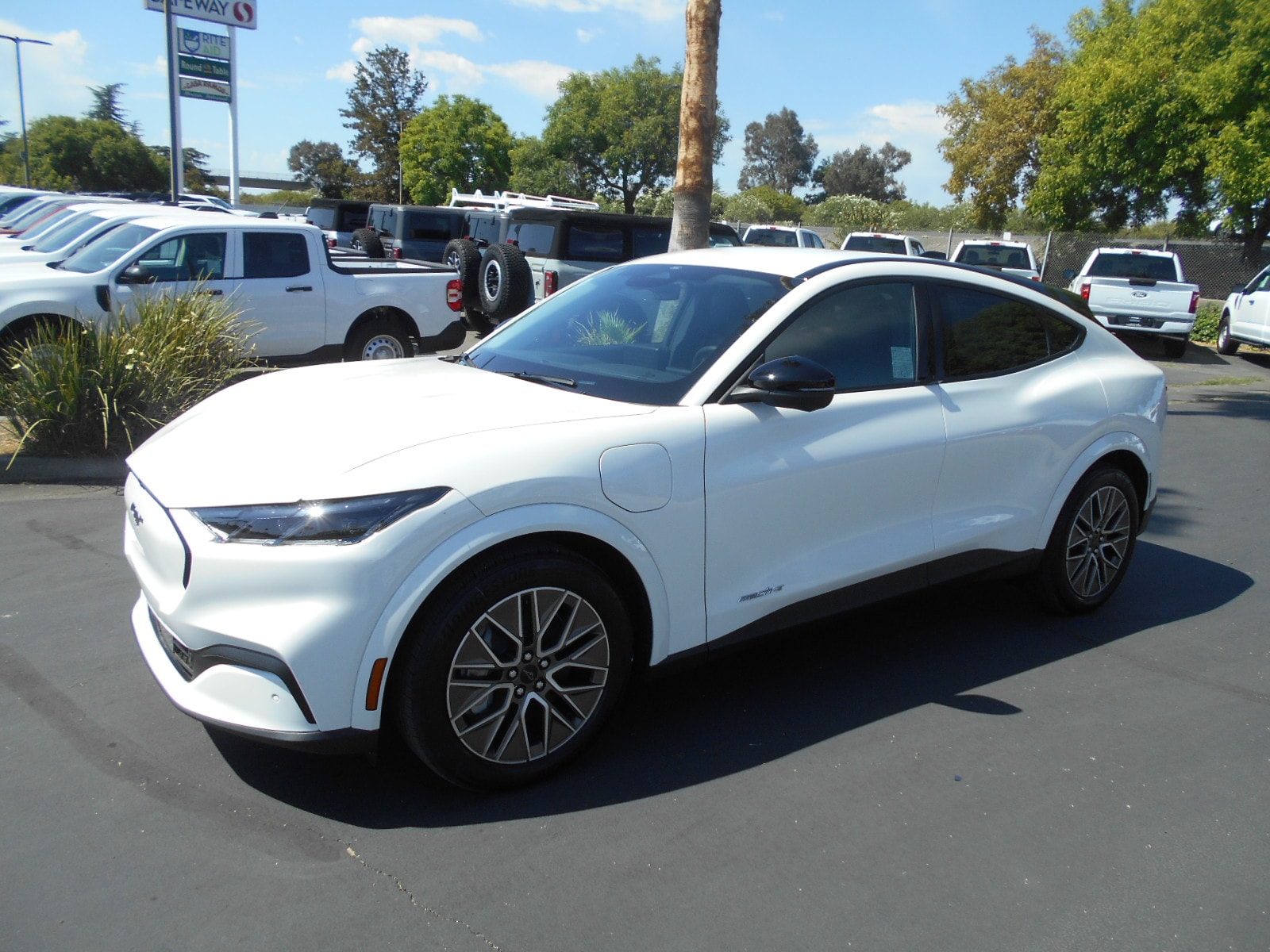 2025 Ford Mustang Mach-E Premium RWD's photo
