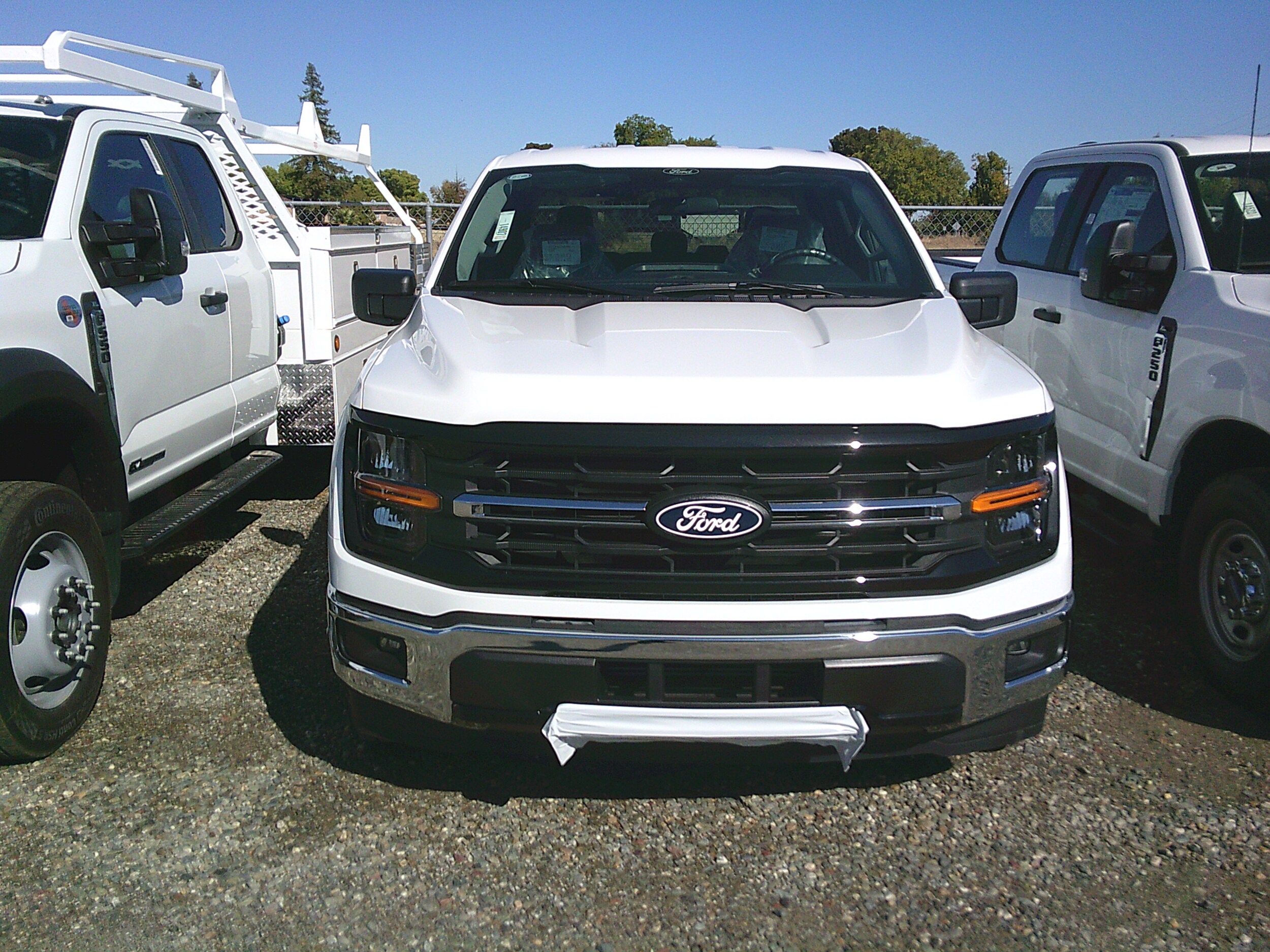 2025 Ford F-150 XLT photo 2