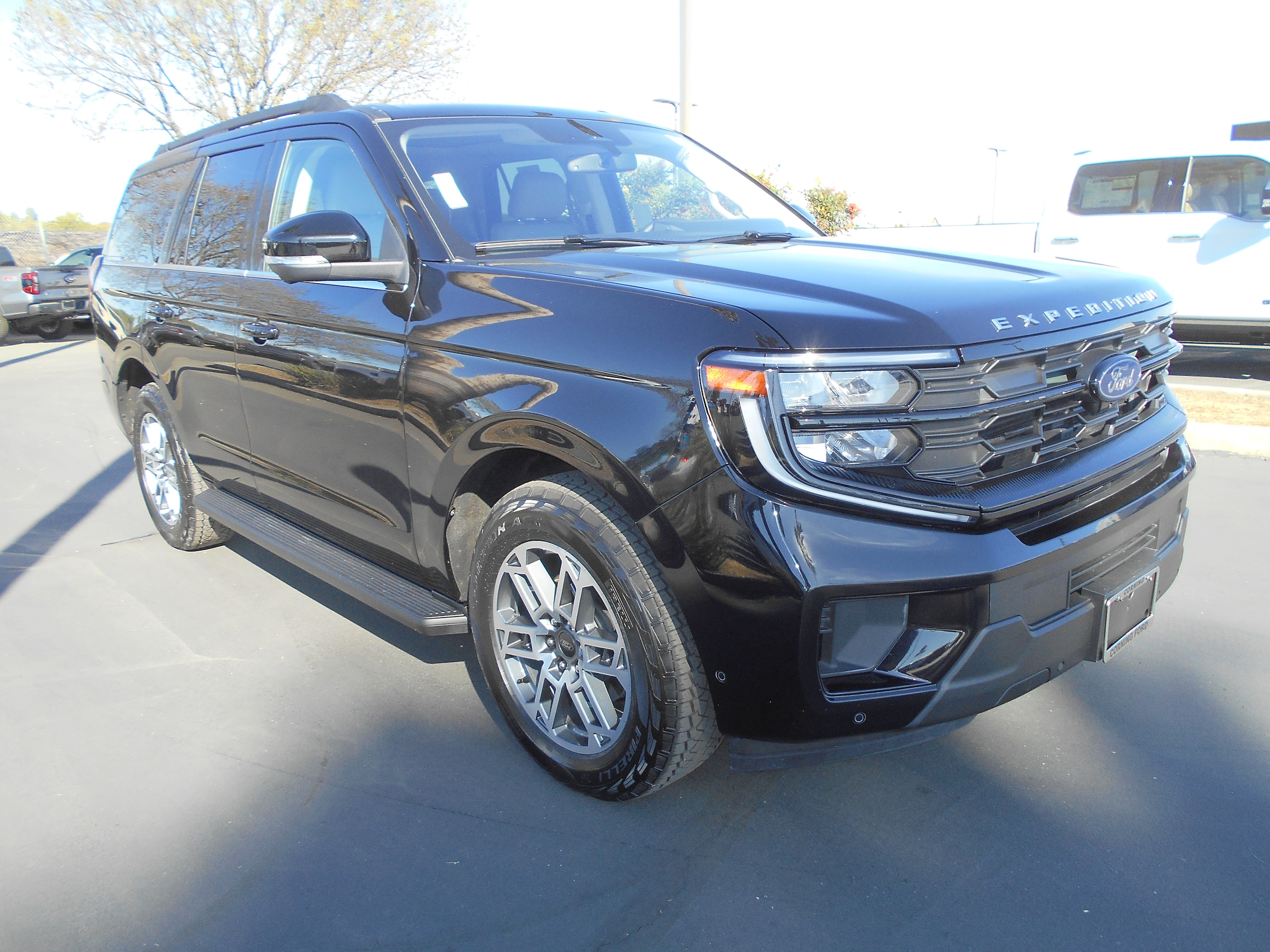 2025 Ford Expedition Leather photo 2