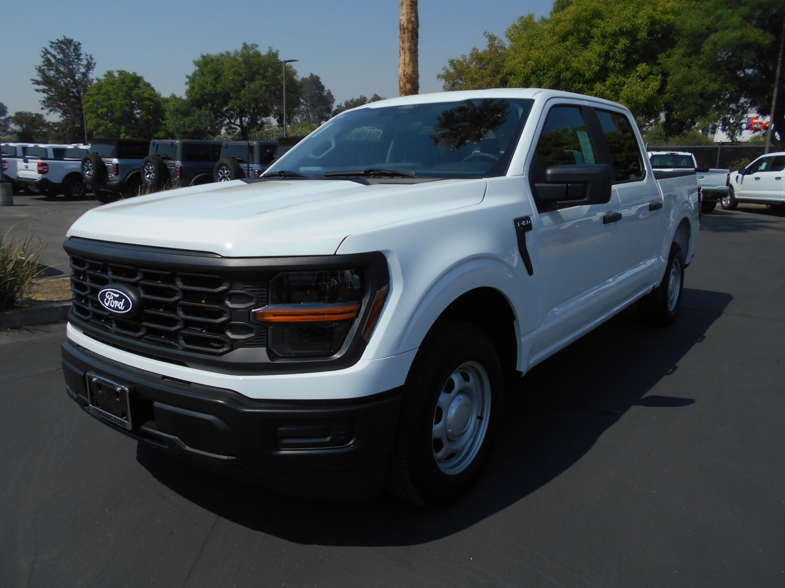 2025 Ford F-150 XL's photo