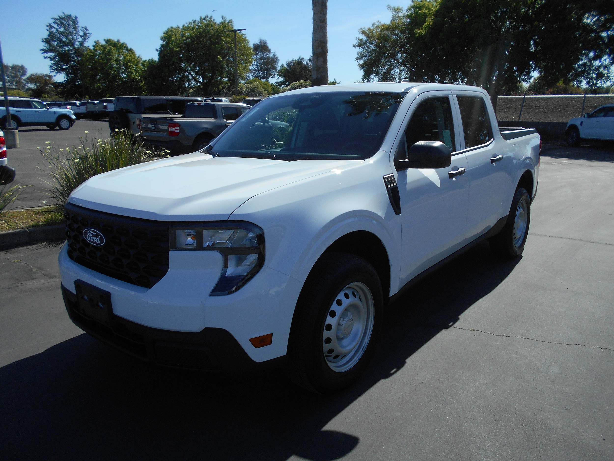 2026 Ford Maverick XL FWD's photo
