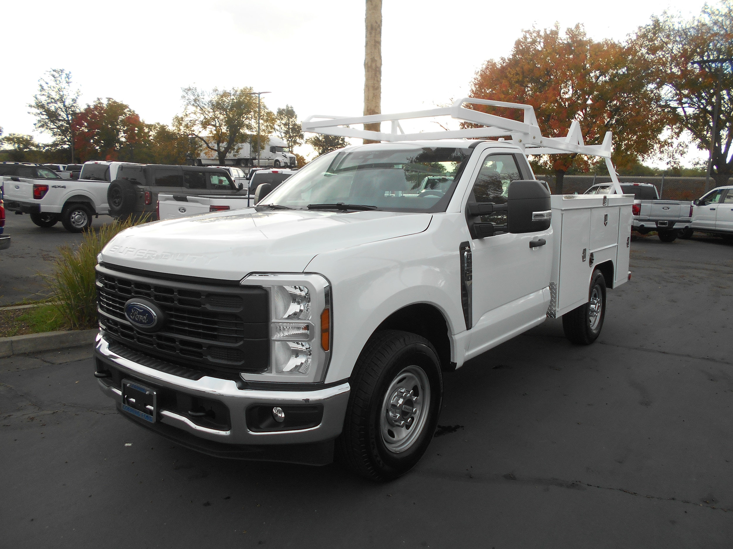 2025 Ford F-250 Super Duty XL's photo