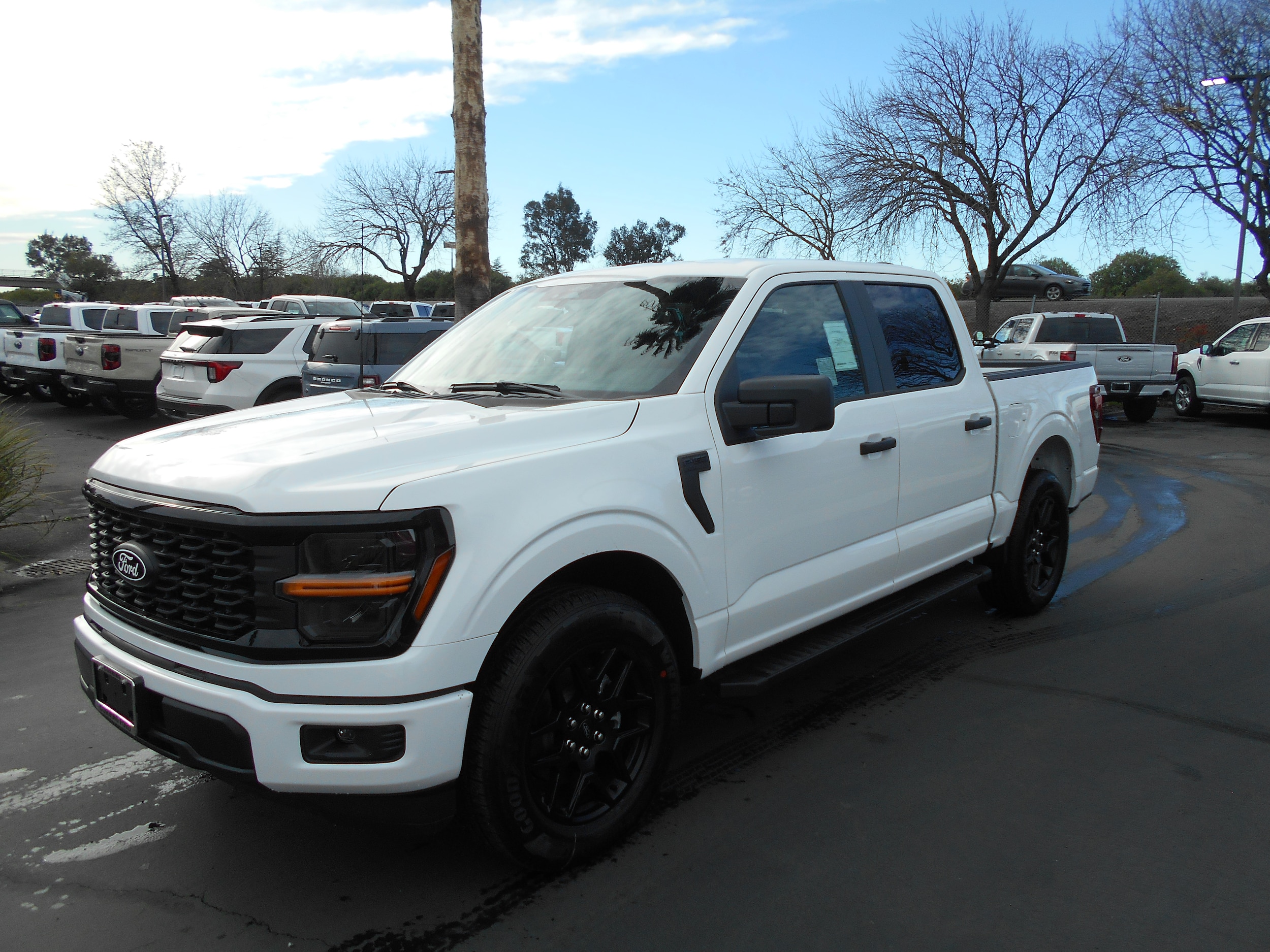 2025 Ford F-150 STX's photo