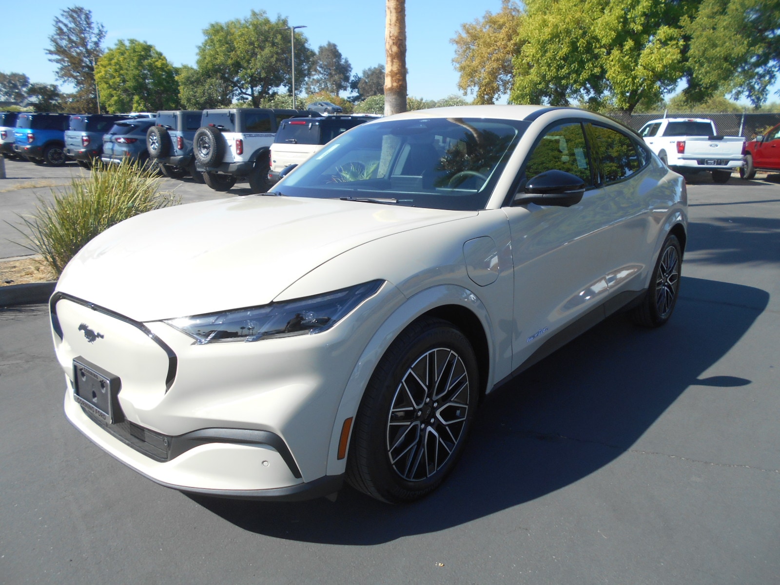2025 Ford Mustang Mach-E Premium AWD's photo