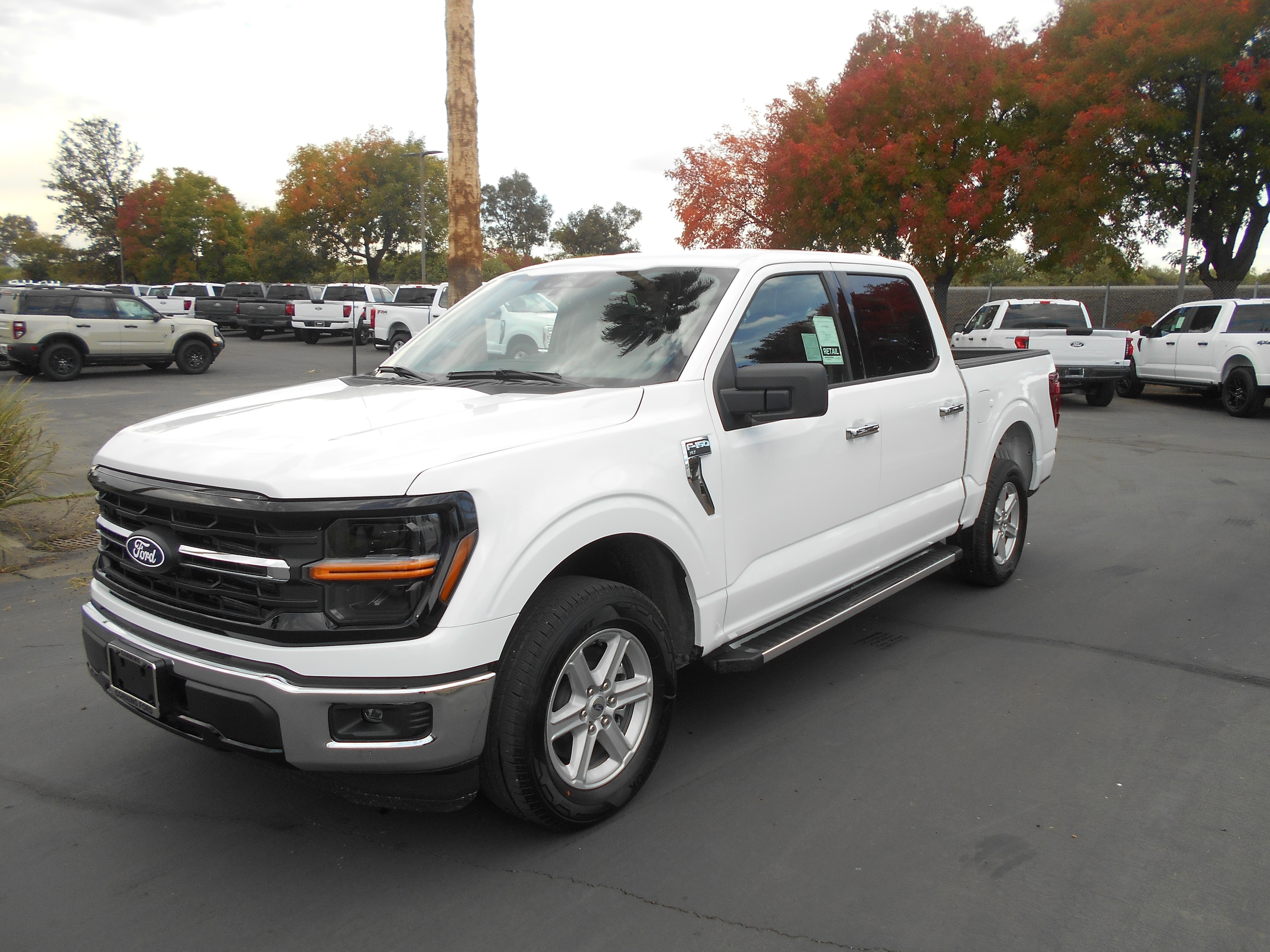 2025 Ford F-150 XLT's photo