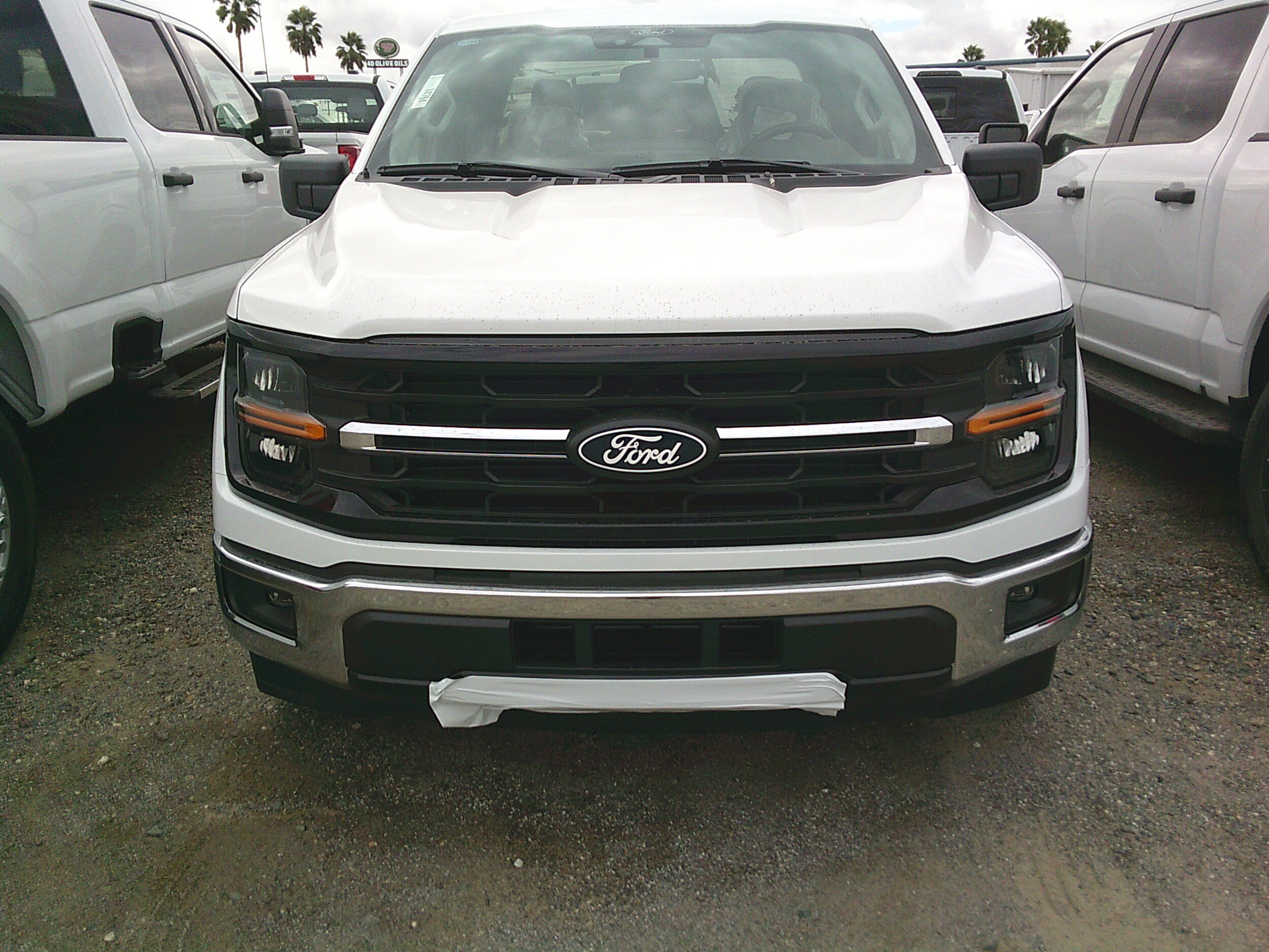2025 Ford F-150 XLT photo 2