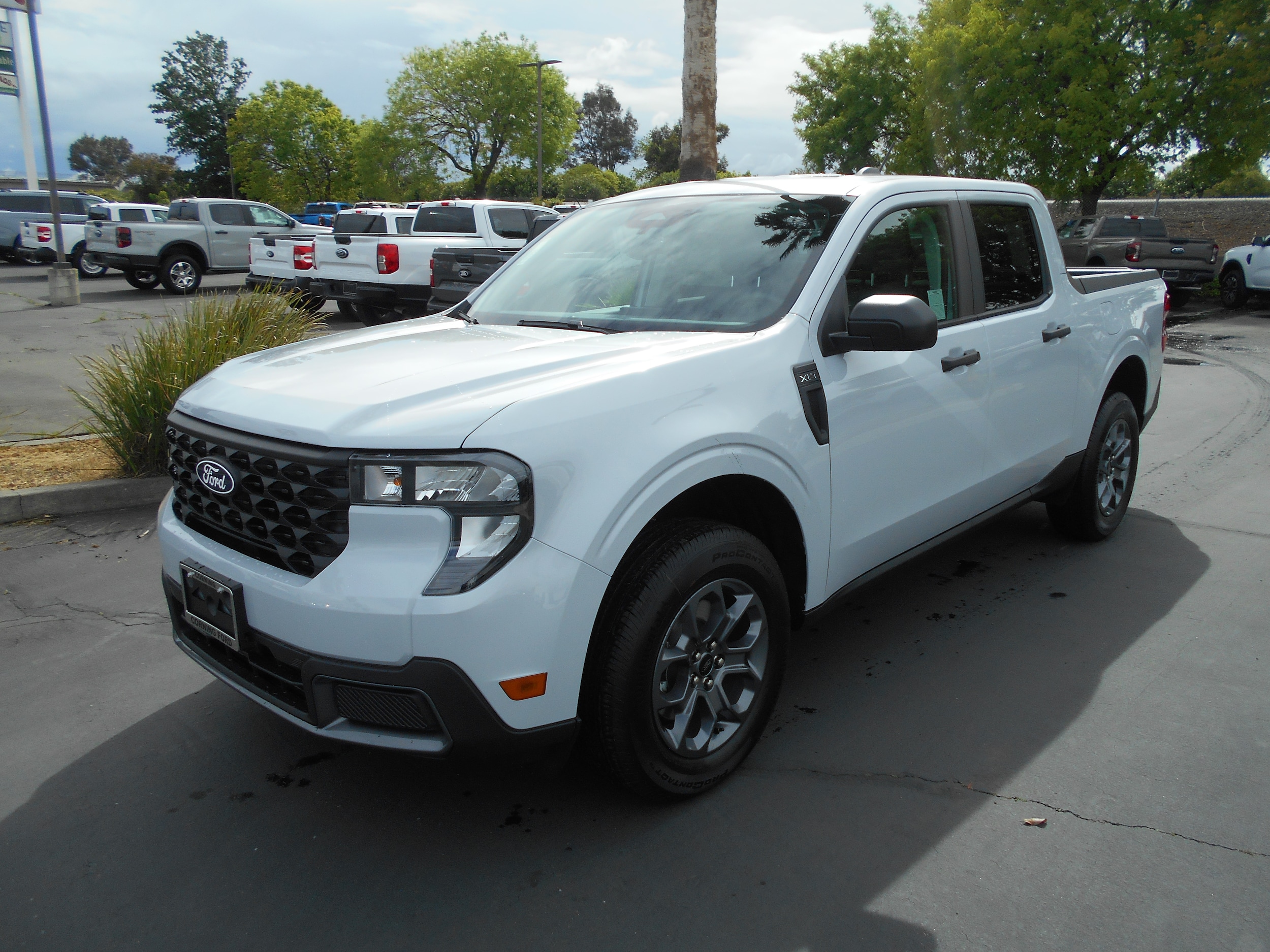 2026 Ford Maverick XLT FWD's photo