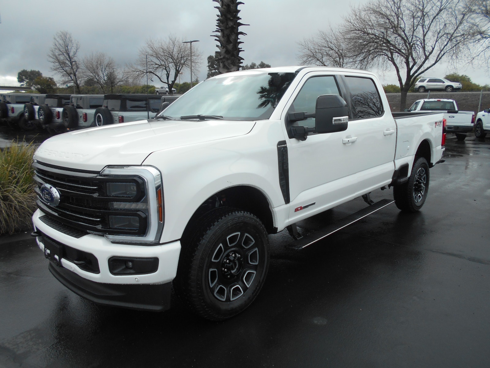 2025 Ford F-250 Super Duty Platinum's photo