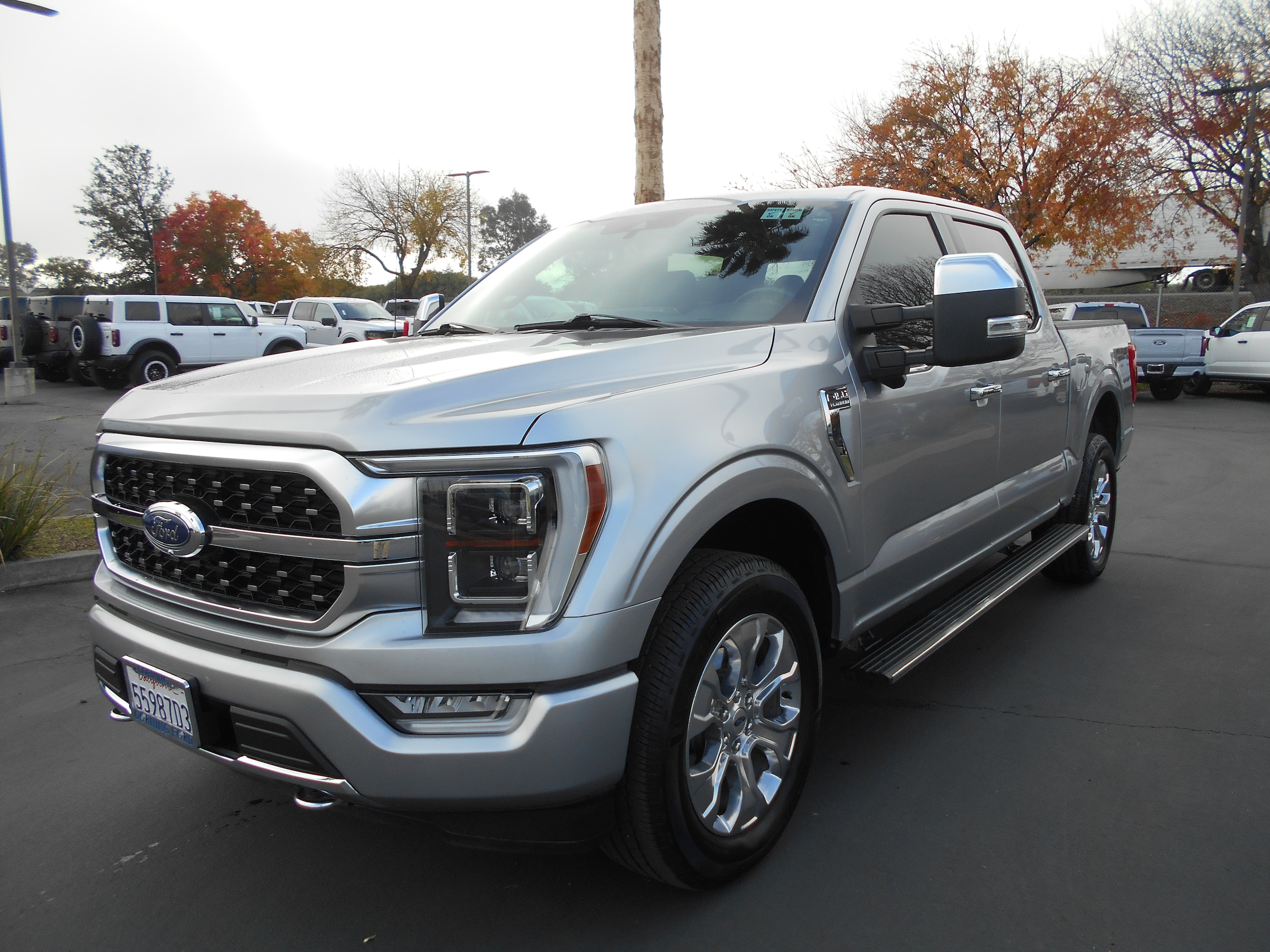 2021 Ford F-150 Platinum's photo