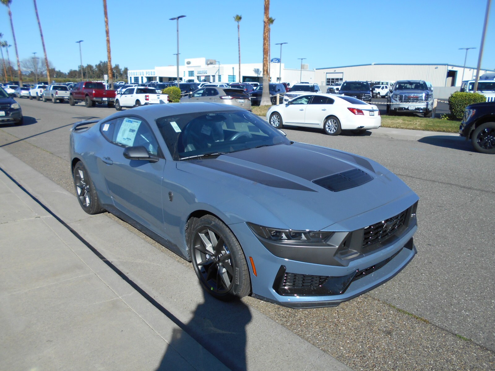 2025 Ford Mustang Dark Horse photo 3