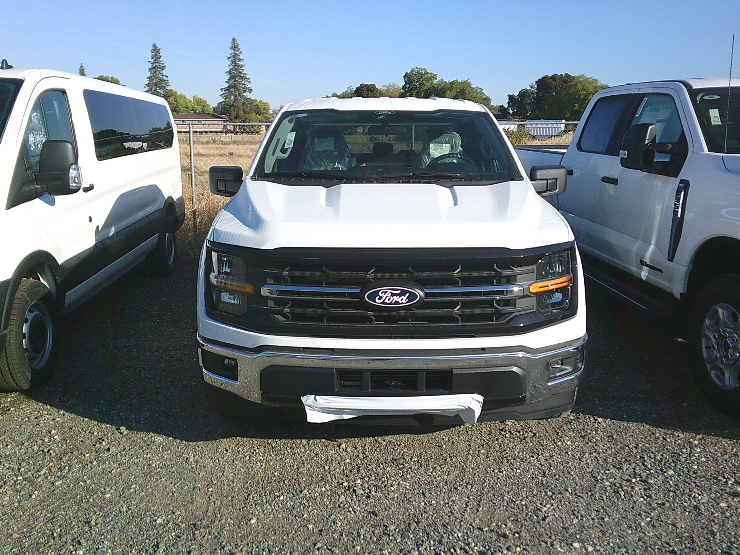 2025 Ford F-150 XLT photo 3