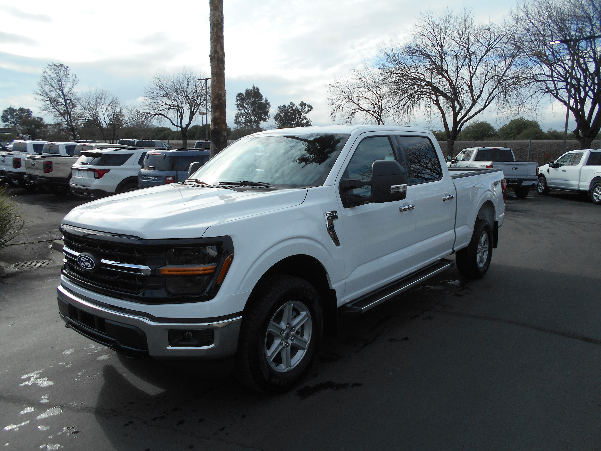 2025 Ford F-150 XLT's photo