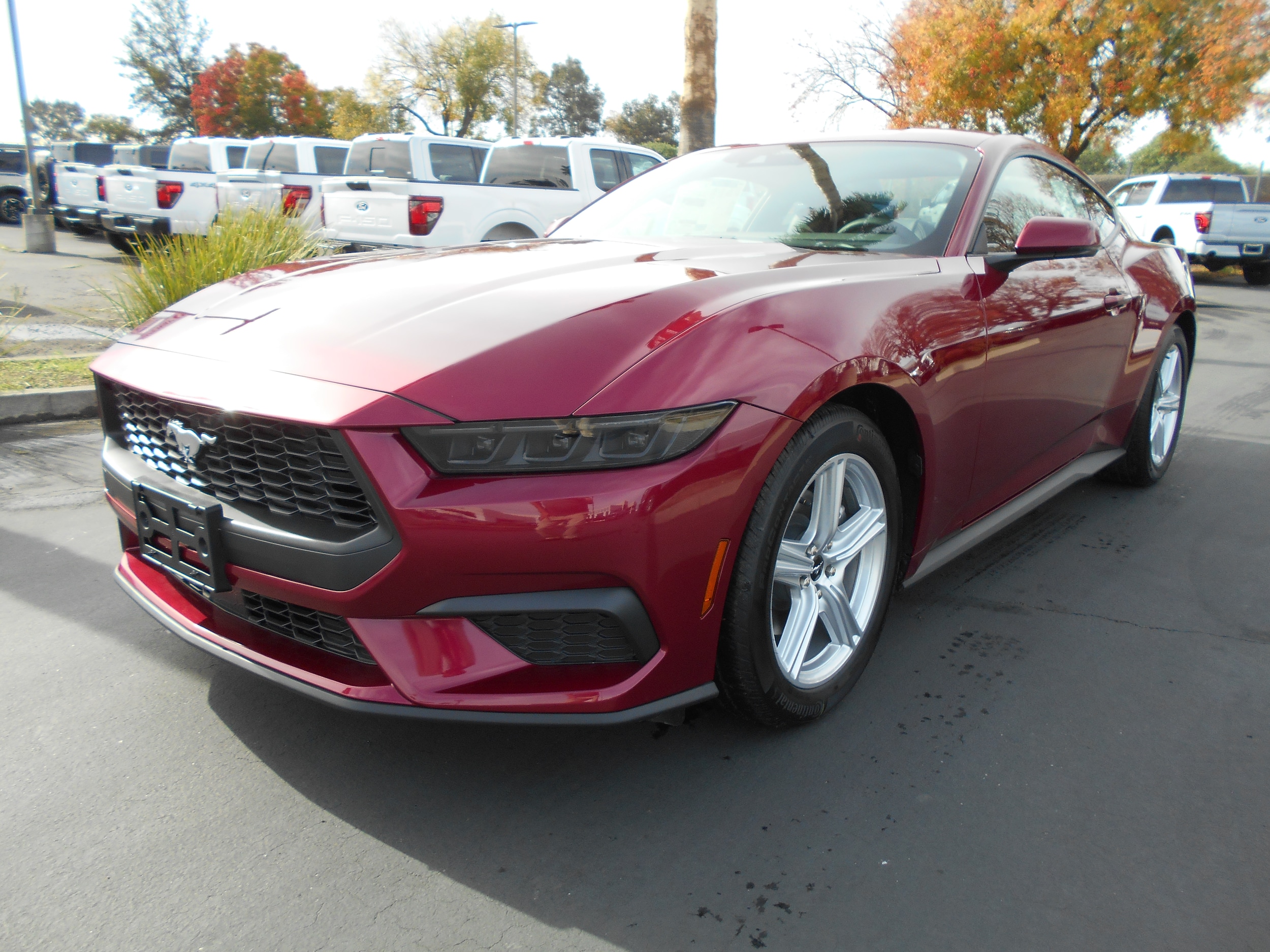 2026 Ford Mustang Coupe 