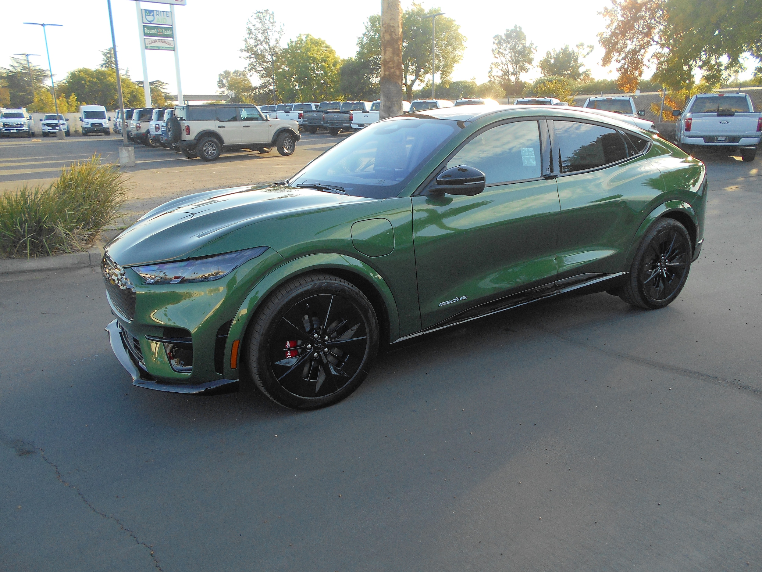 2025 Ford Mustang Mach-E GT AWD's photo