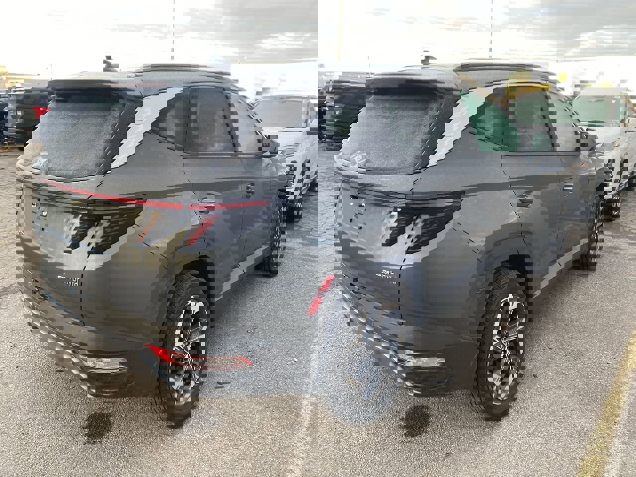 2024 Hyundai Tucson Hybrid Limited photo 2