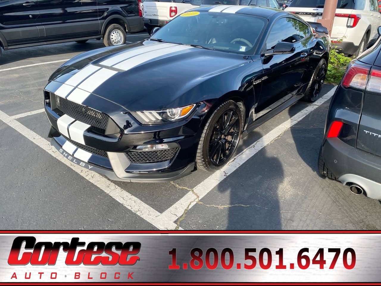 2019 Ford Mustang Shelby GT350's photo