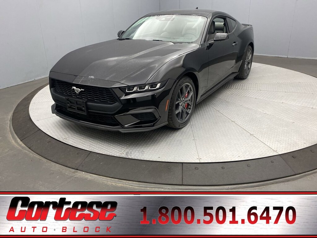 New 2024 Ford Mustang CAR Ecoboost For Sale in Rochester,NY Near