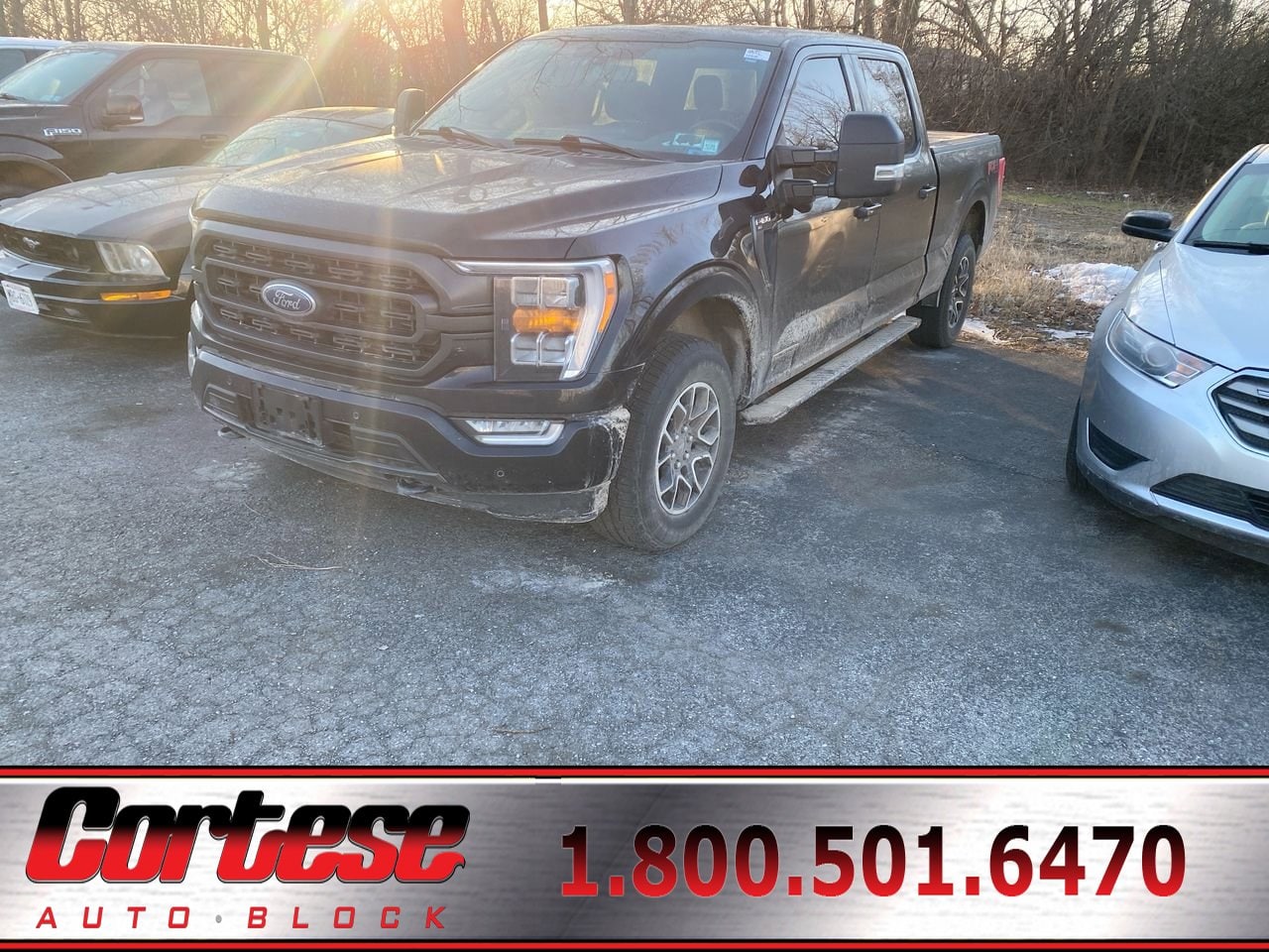 2021 Ford F-150 XLT's photo