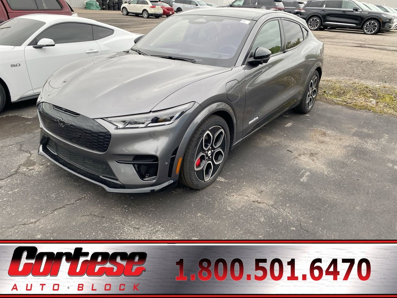 2023 Ford Mustang-Mach-e GT's photo