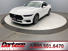 2026 Ford Mustang Ecoboost Premium Fastback CAR