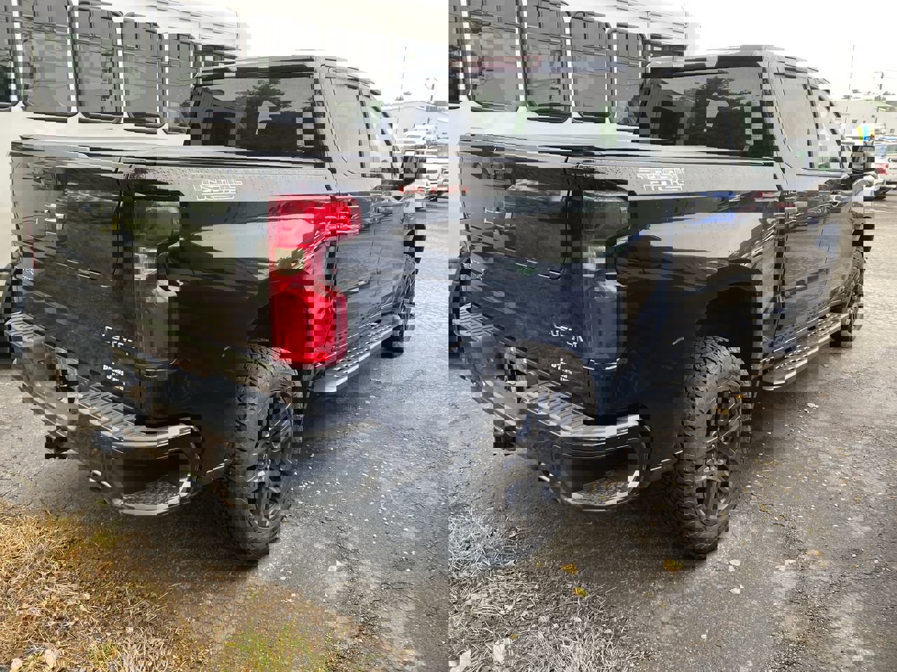 2021 Chevrolet Silverado 1500 Custom Trail Boss photo 3