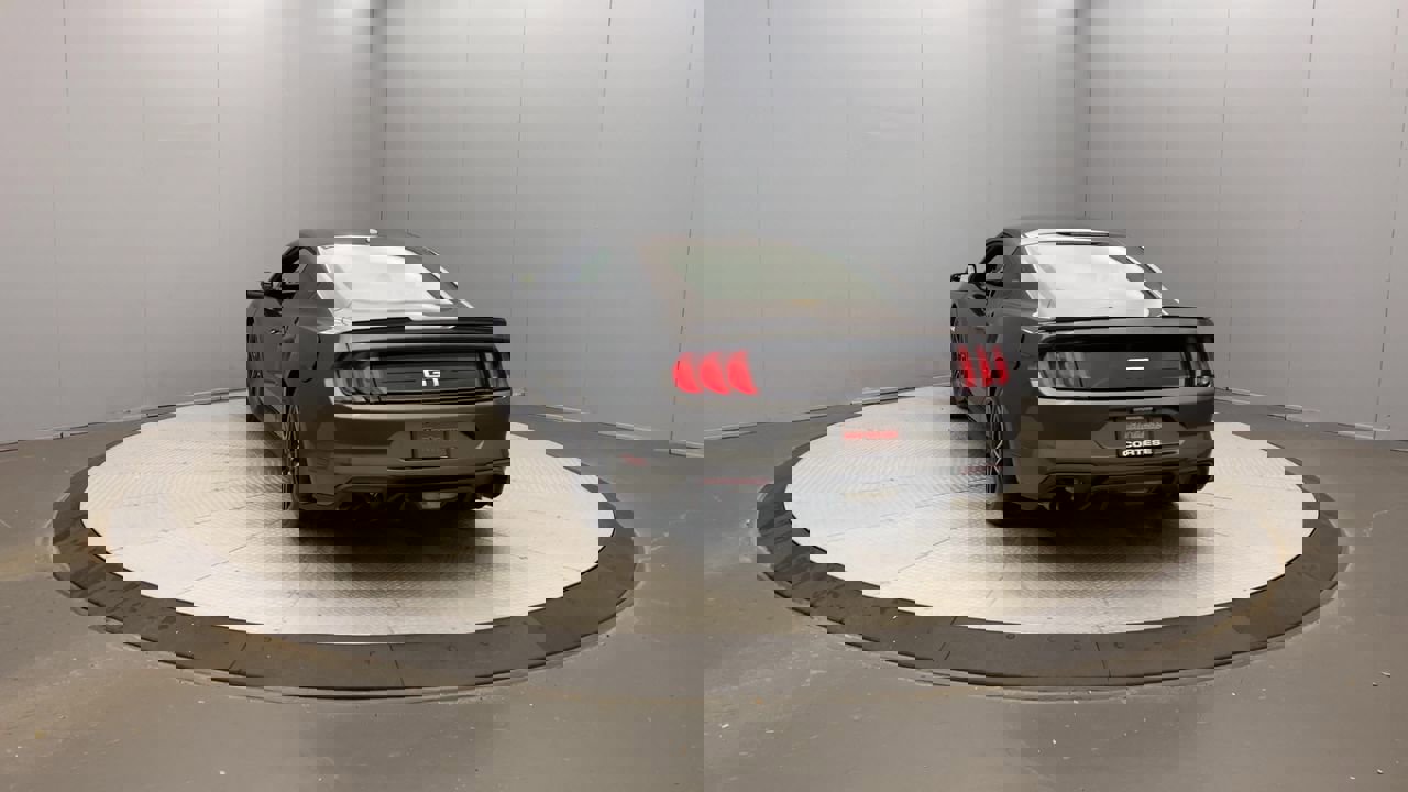 2019 Ford Mustang GT Premium photo 3